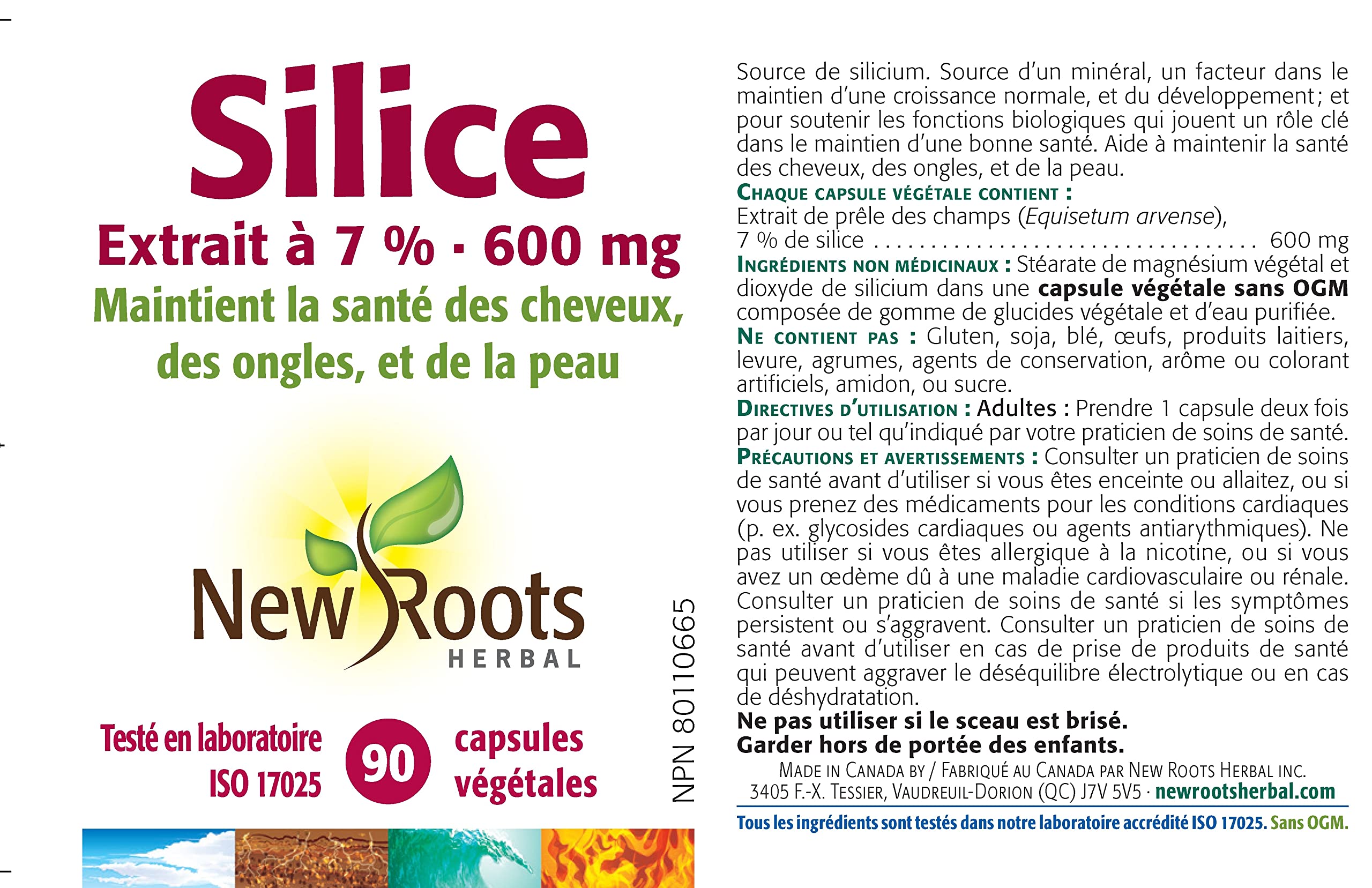 New Roots Herbal Silica 7% Extrait 600mg, 90 capsules végétales (approvisionnement de 45 jours) - Extrait de prêle standardisé, favorise la santé des cheveux, de la peau, des ongles et des os, maintient les tissus conjonctifs