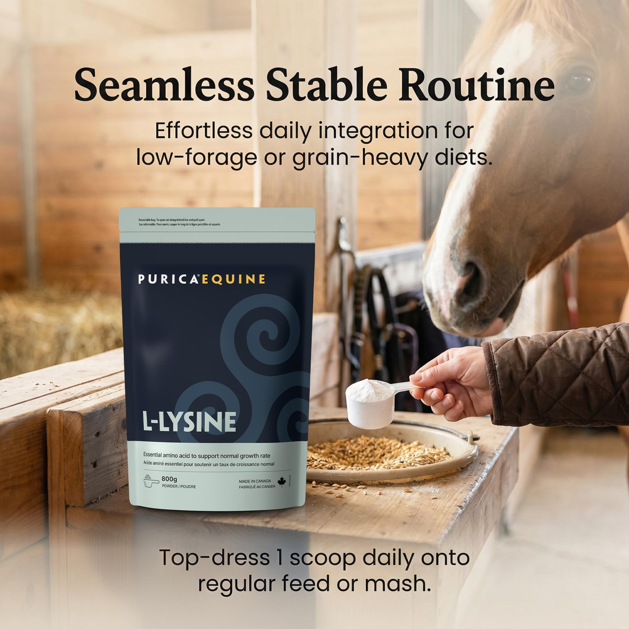 PURICA Lysine Powder for Horses, Collagen Support, Made in Canada, 800g