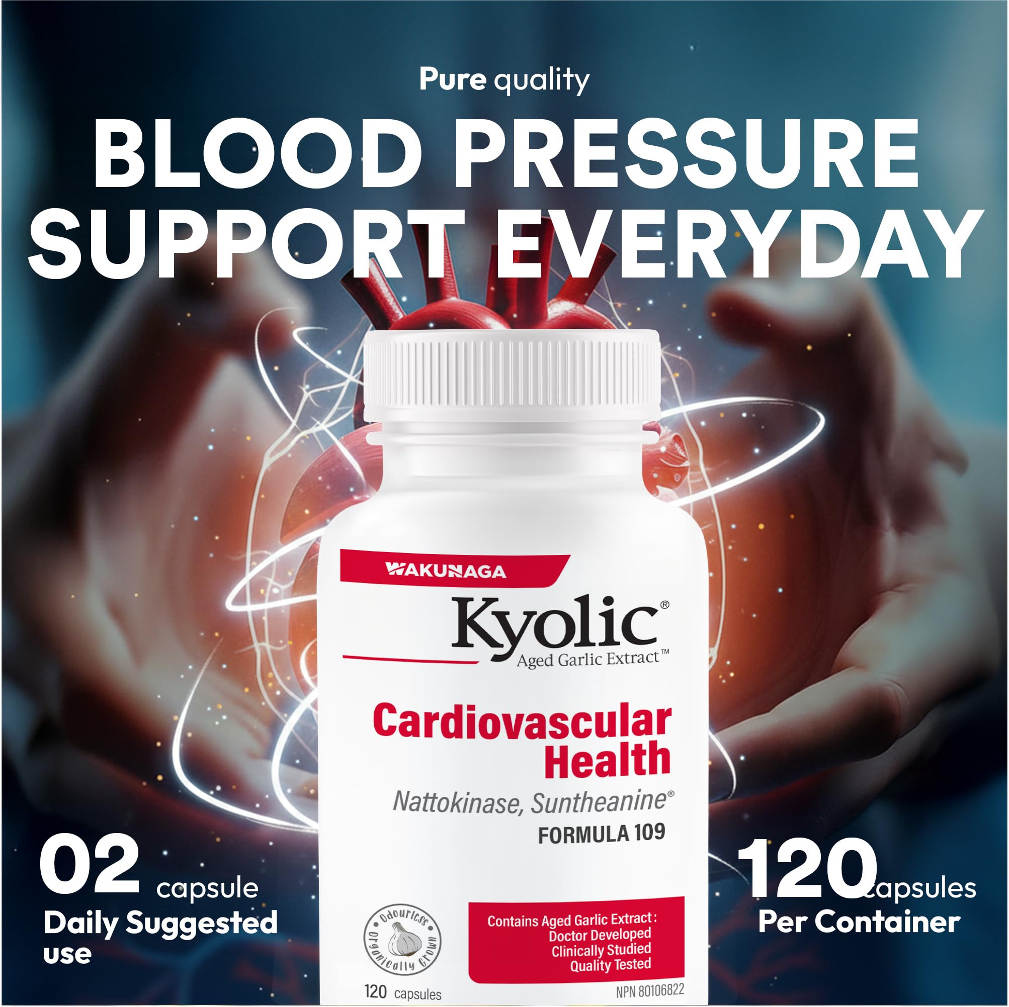 Kyolic - Formule cardiovasculaire 109