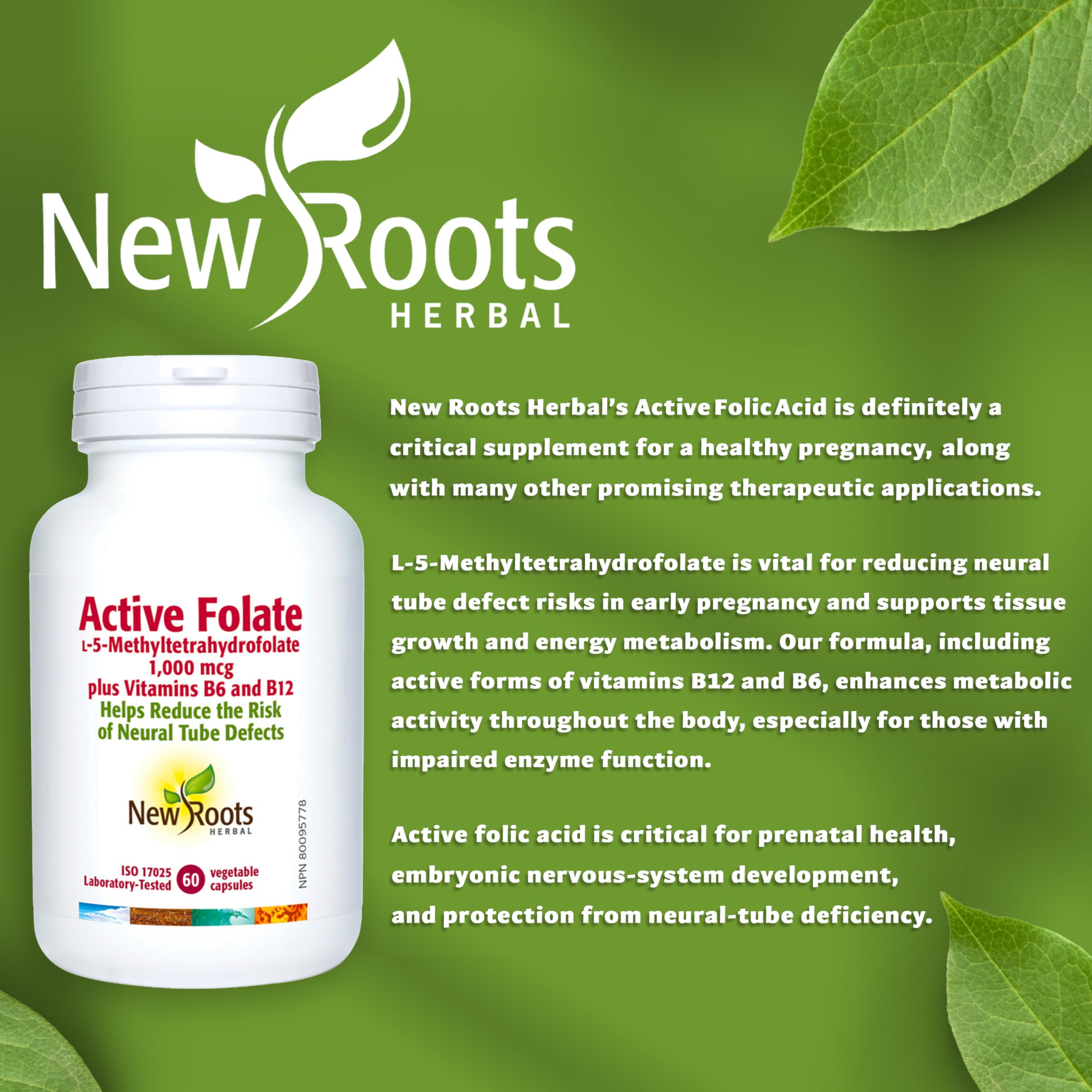 New Roots Herbal Folate Actif, 1000mcg L-5-MTHF avec Vitamines B6 & B12, Soutien Prénatal pour la Santé du Tube Neural & la Formation des Globules Rouges, 60 Gélules Végétales, Approvisionnement de 60 Jours