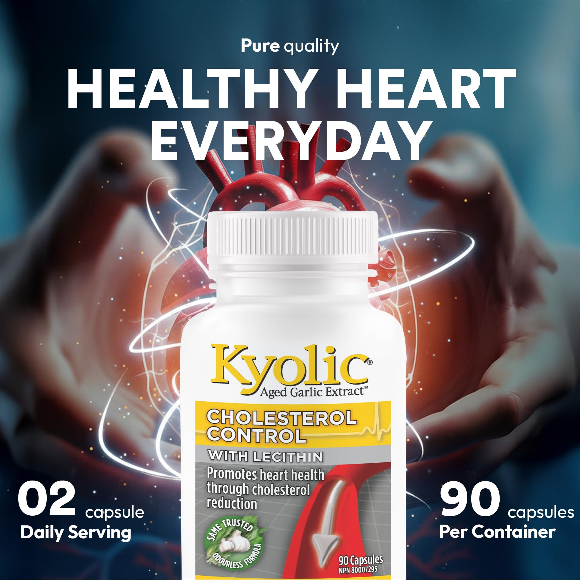 Kyolic - Contrôle du cholestérol avec lécithine