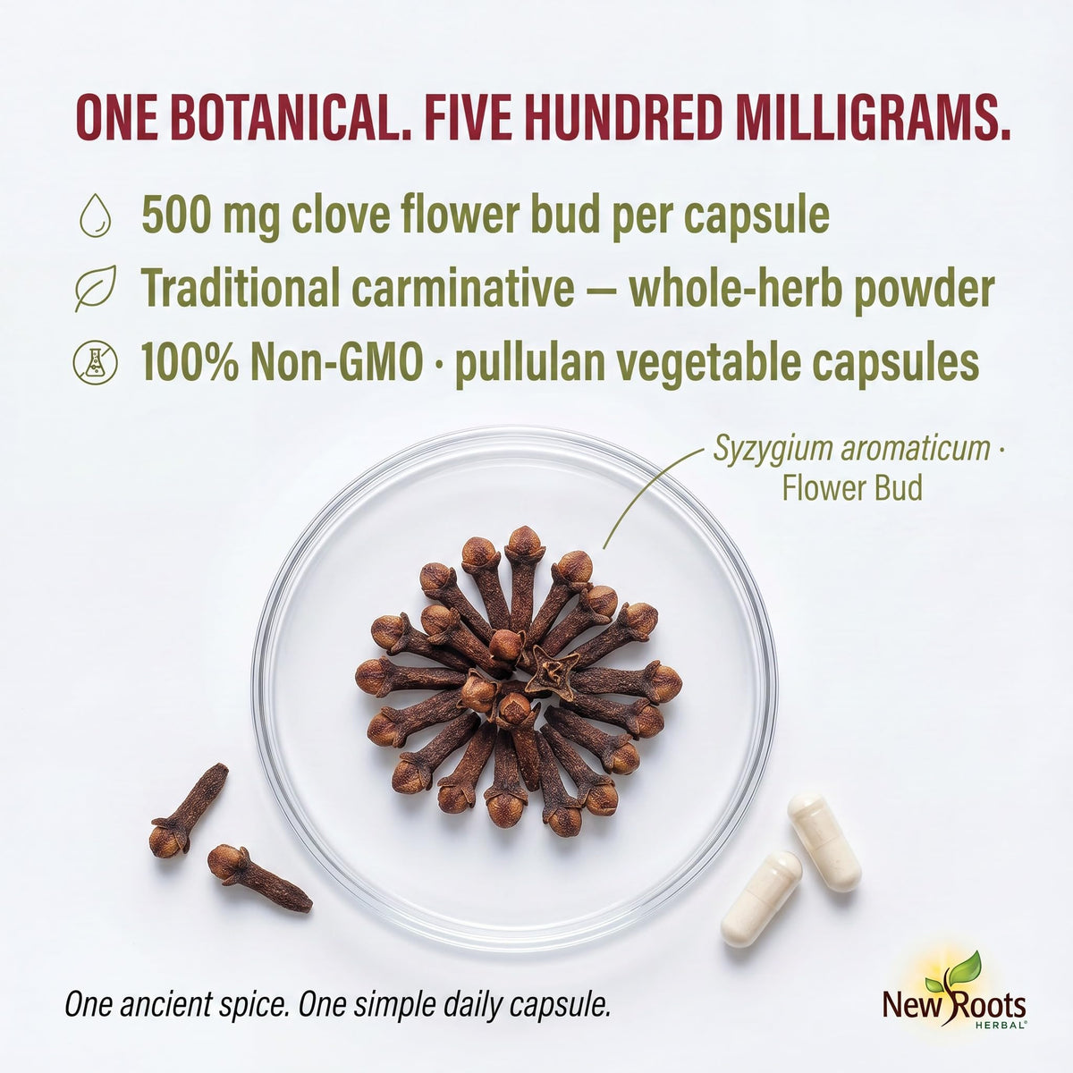 New Roots Herbal Clove Capsules, 500mg, 100 Veg Capsules, 100-Day Supply