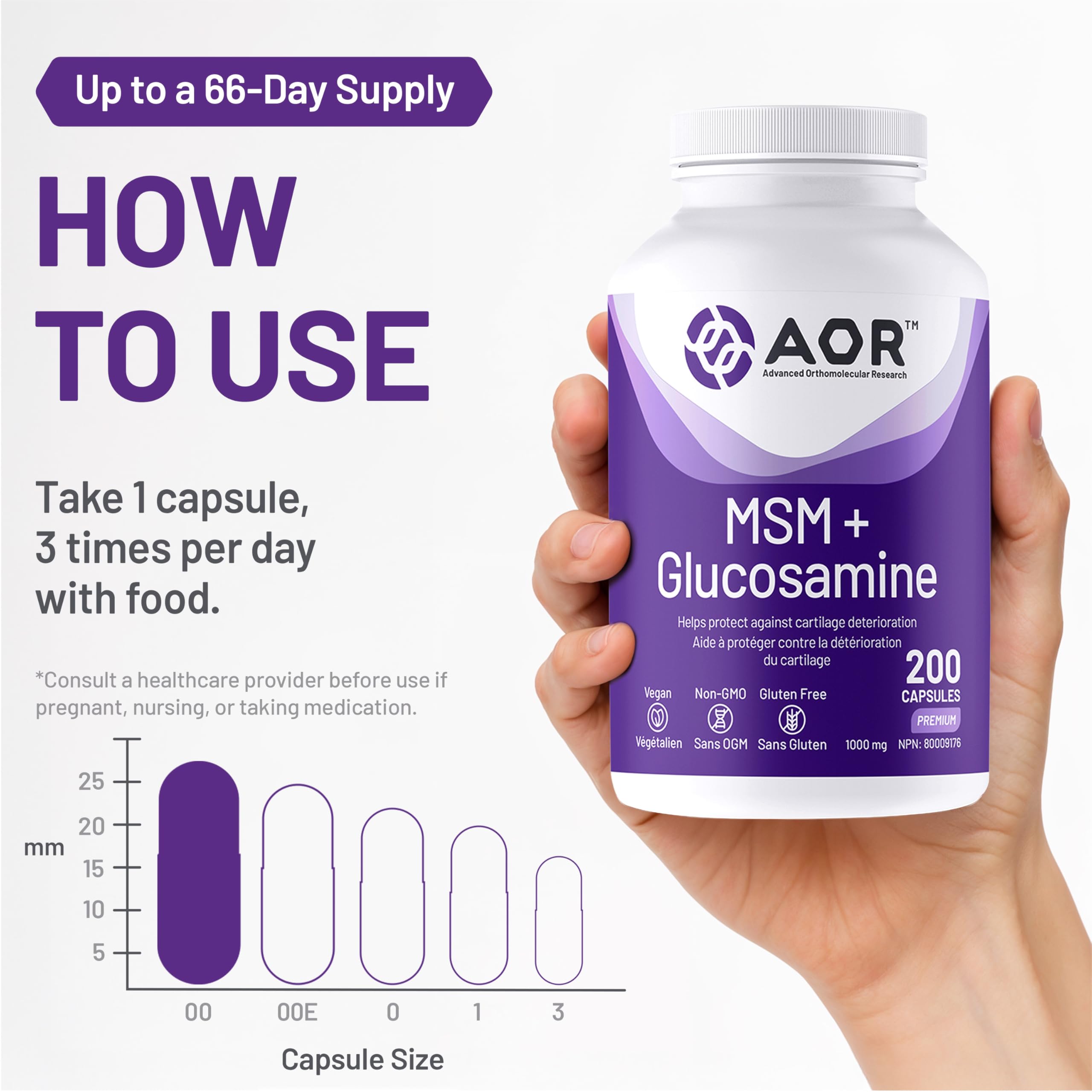 AOR MSM + Glucosamine