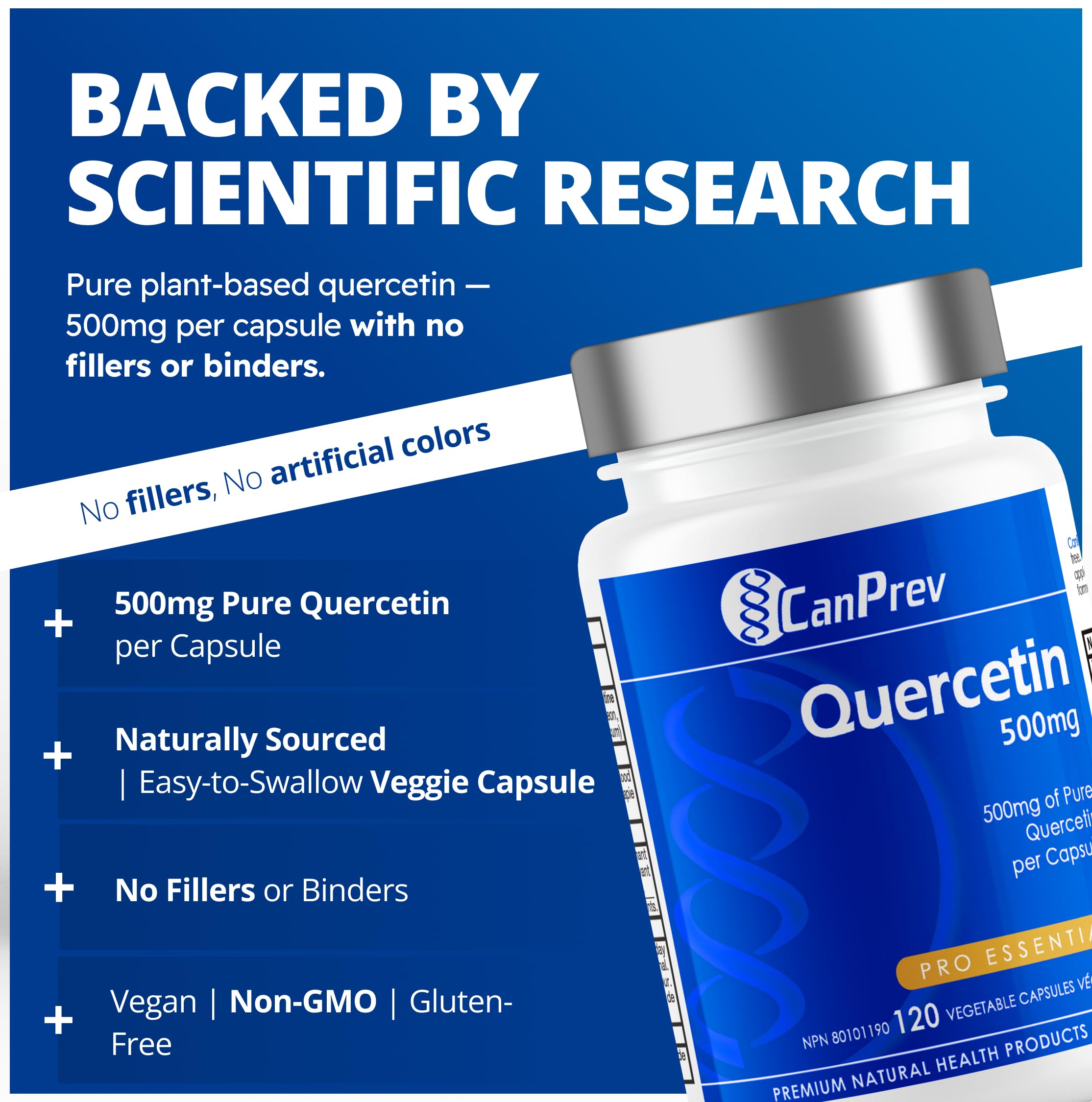 CanPrev Quercétine, 120 gélules végétales – 120 jours d'approvisionnement – Végétalien et sans OGM – 500 mg de quercétine pure – Favorise une circulation saine et le confort pendant les changements de saison – Riche en propriétés antioxydantes
