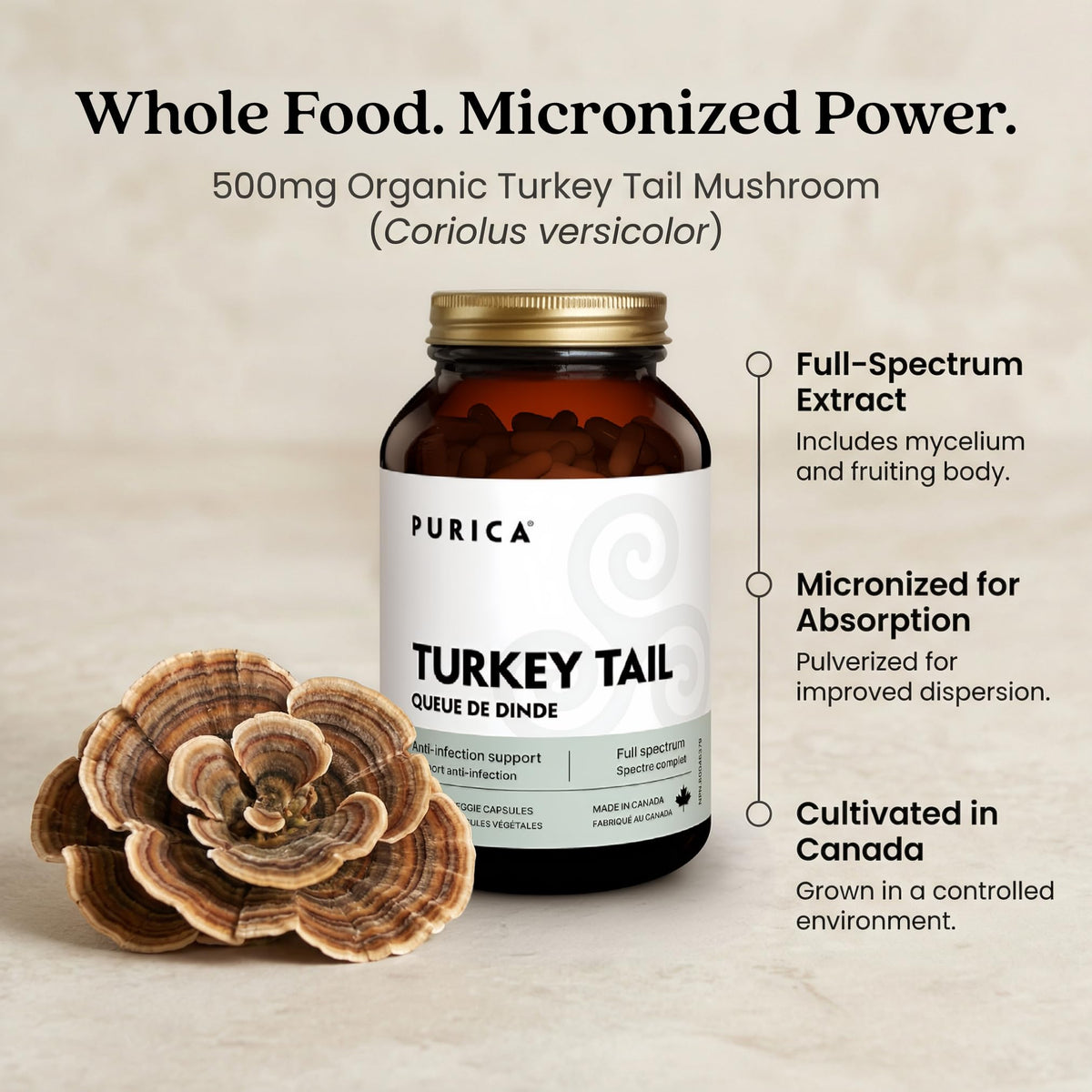 PURICA Turkey Tail Mushroom Supplement 500mg, 120 Capsules, 30 Day Supply