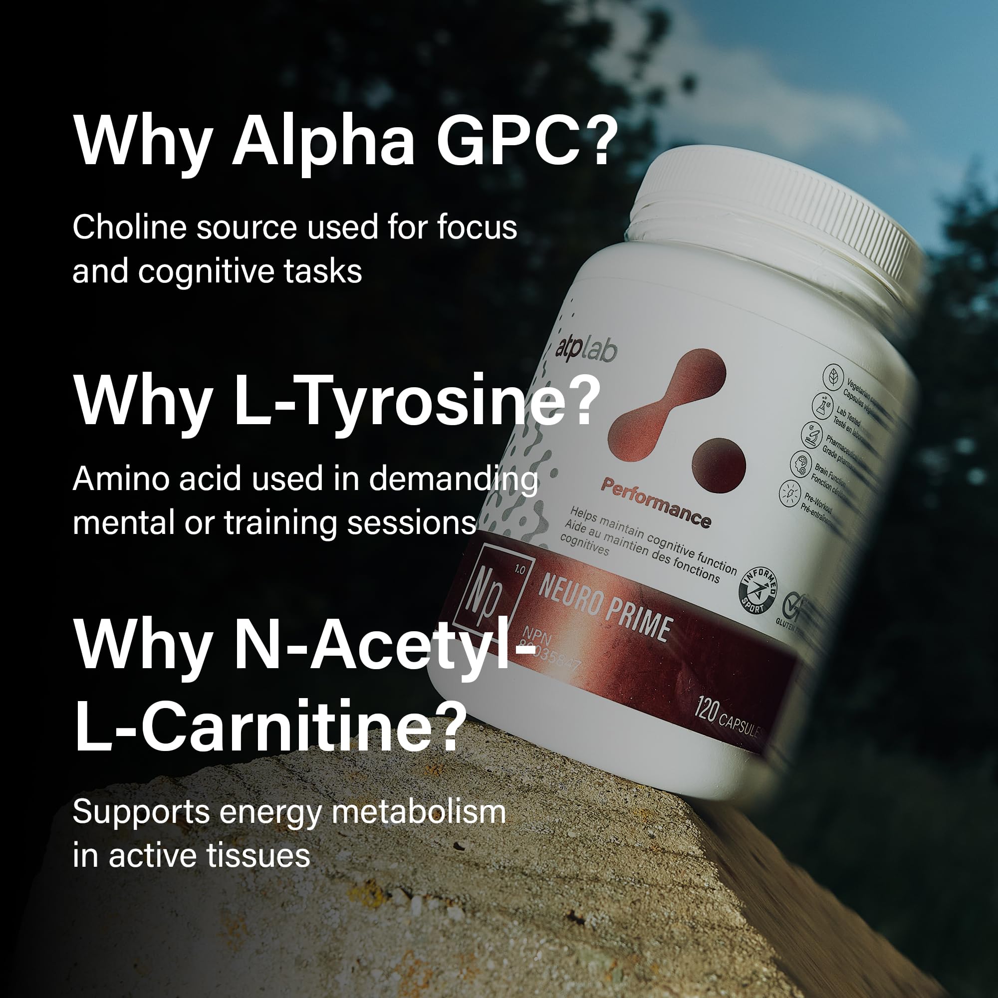 ATP LAB - Neuro Prime 120 Capsules - Brain and Memory Supplements - Memory & Focus Supplements - Cognitive Supplement & Fatigue Supplement - Mental Health