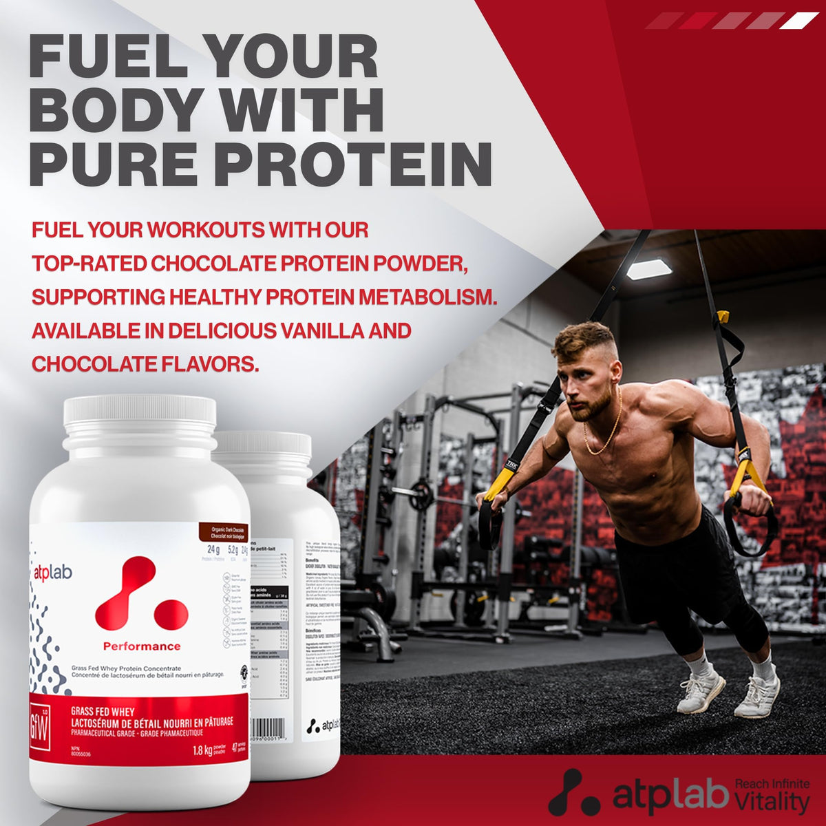 atplab Grass Fed Whey Protein Powder, Gluten Free, Dark Chocolate, 1.8 kg