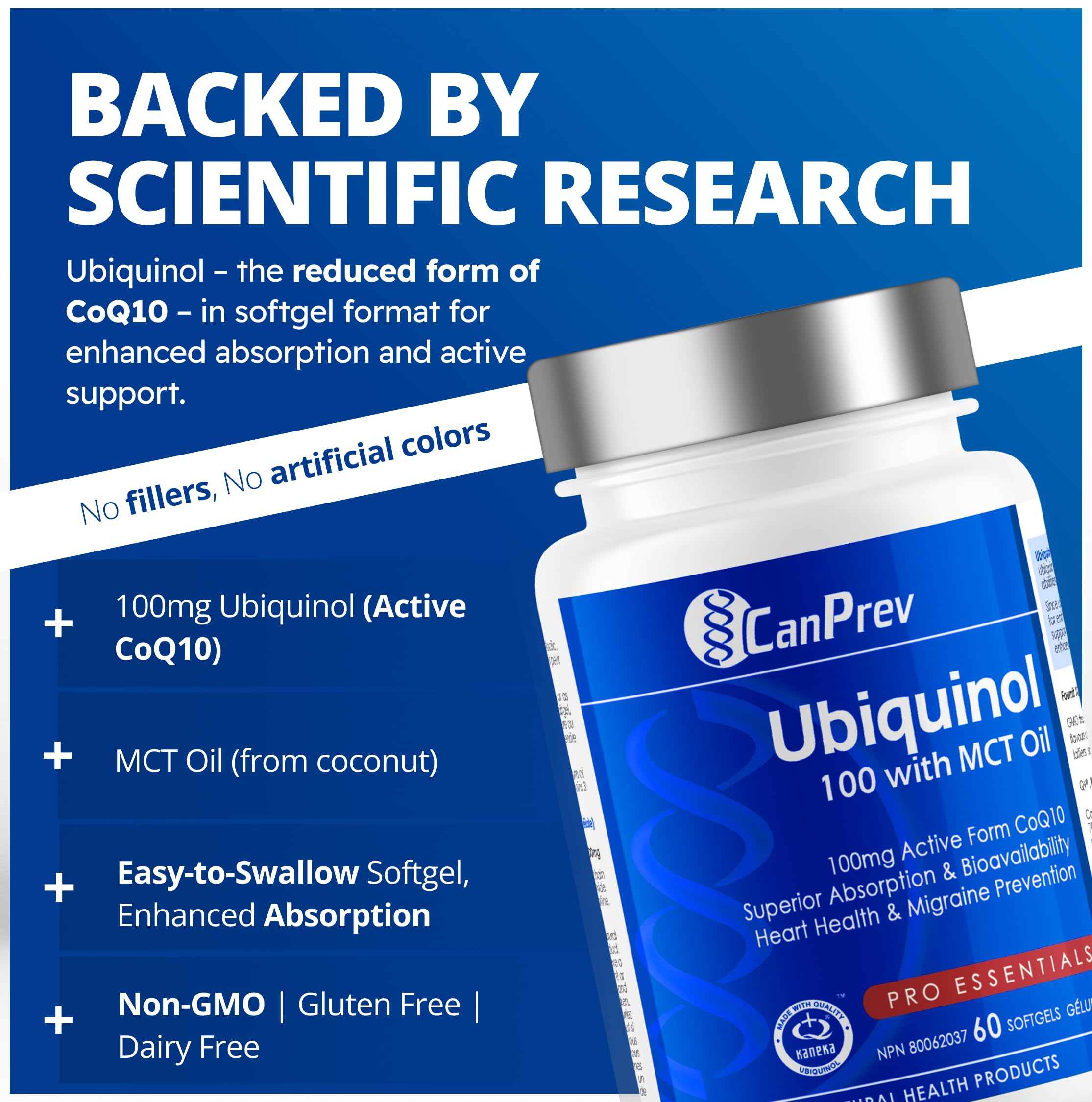 CanPrev Ubiquinol 100mg avec Huile MCT, 60 Gélules, Approvisionnement de 2 Mois, Supplément de CoQ10 pour le Soutien Cardiaque et Cardiovasculaire, Absorption Améliorée, Sans OGM et Sans Gluten, Coenzyme Q10 pour l'Énergie et la Vitalité