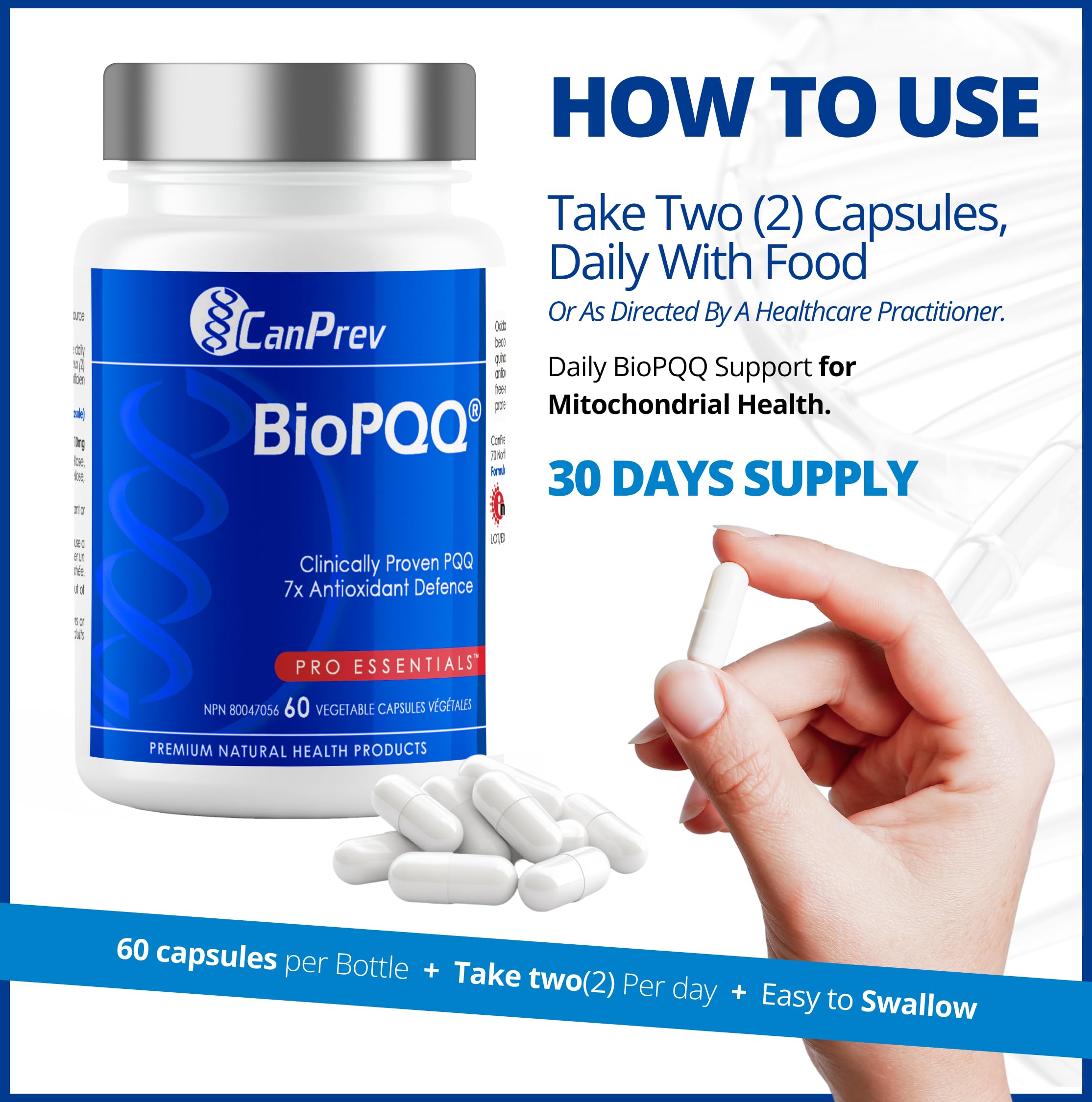 CanPrev - Supplément BioPQQ, 60 capsules, approvisionnement de 30 jours - PQQ Pyrroloquinoline Quinone pour le soutien de la mémoire, la santé cardiaque, le vieillissement sain et la santé cognitive - Supplément antioxydant - Végétalien et sans OGM