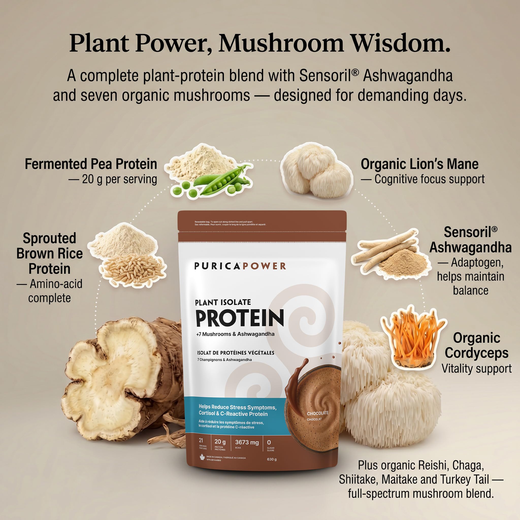 PURICA Plant Isolate Protein +7 Mushrooms & Ashwagandha Powder