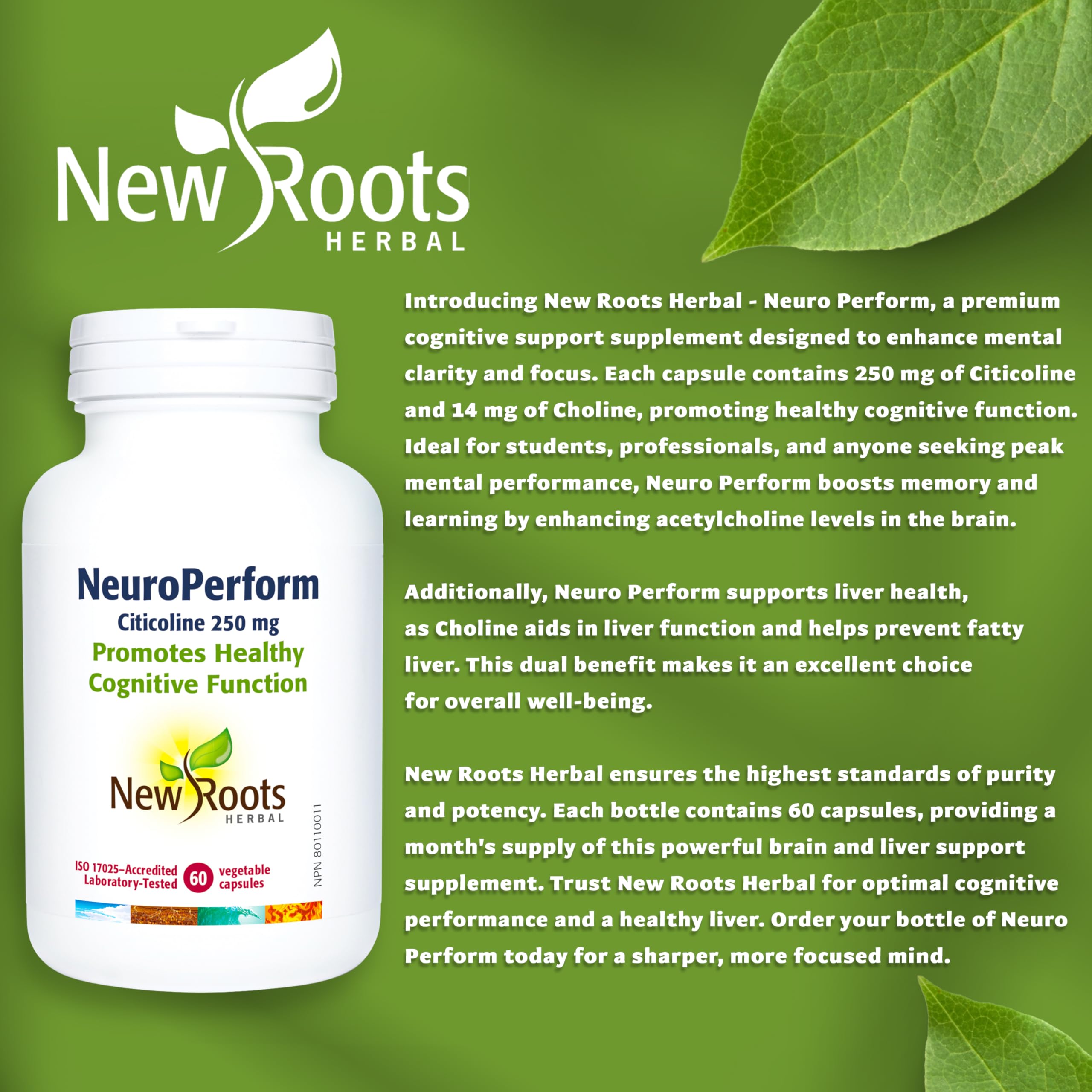 New Roots Herbal Neuro Perform, Citicoline 250 mg, Choline 14 mg, 60 gélules – Phosphatidylcholine, CDP Choline – Soutient les fonctions cognitives et la santé du cerveau, supplément idéal de choline pour la grossesse