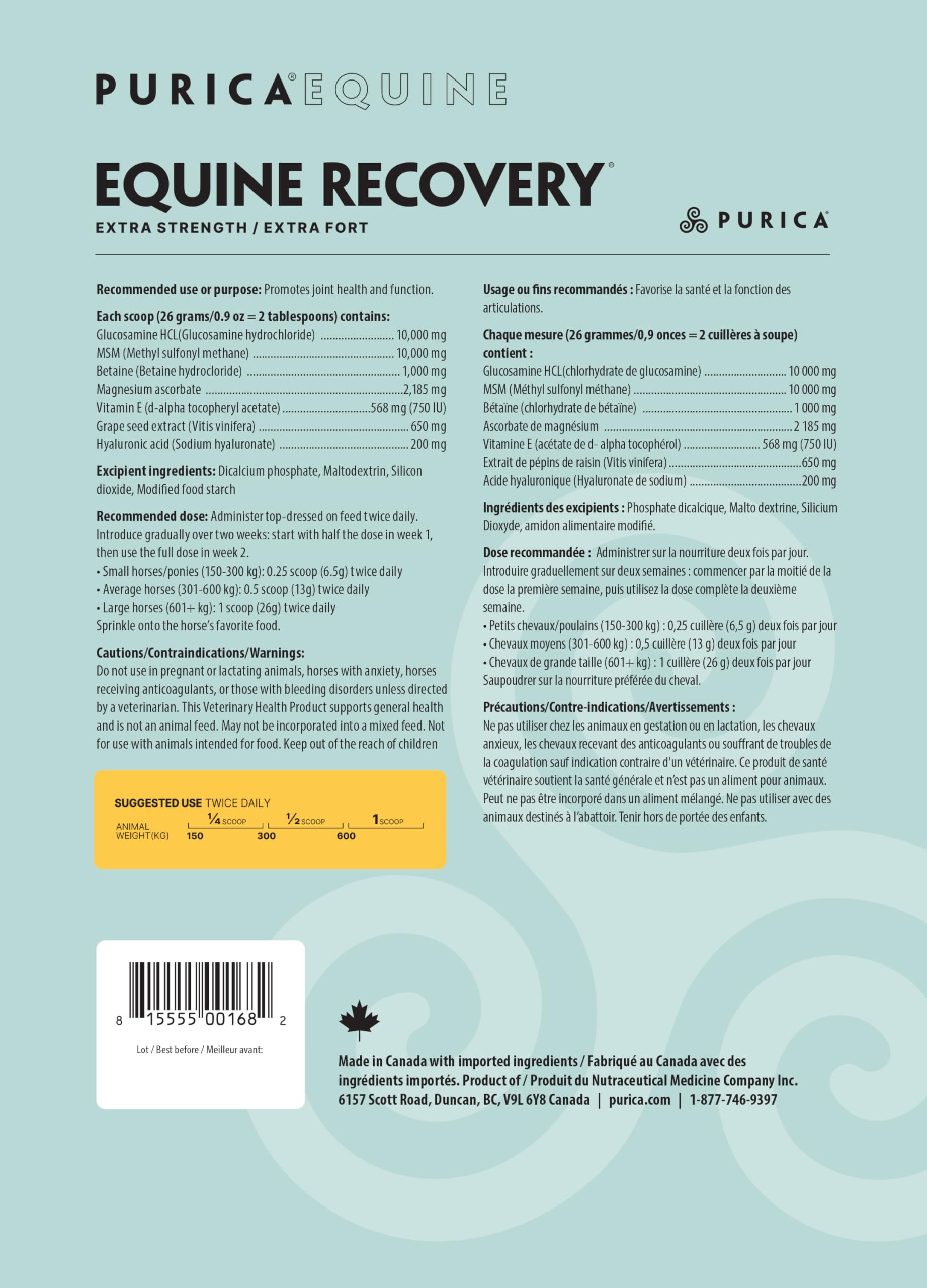 PURICA Recovery Extra Strength Extra Fort - Supplément pour Chevaux - Favorise la Santé et la Performance du Cheval, avec MSM et Glucosamine