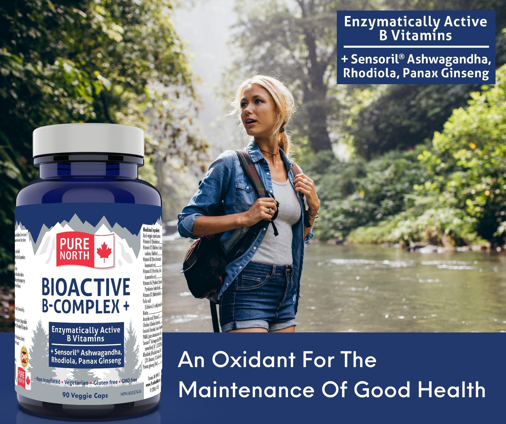 Pure North Naturals - Bioactive B-Complex Vitamin Supplement 90 Caps 30-Day Supply - Enzymatically Active Sensoril Ashwagandha, Rhodiola, Panax Ginseng - 3rd Party Tested - Formulated & Made in Canada