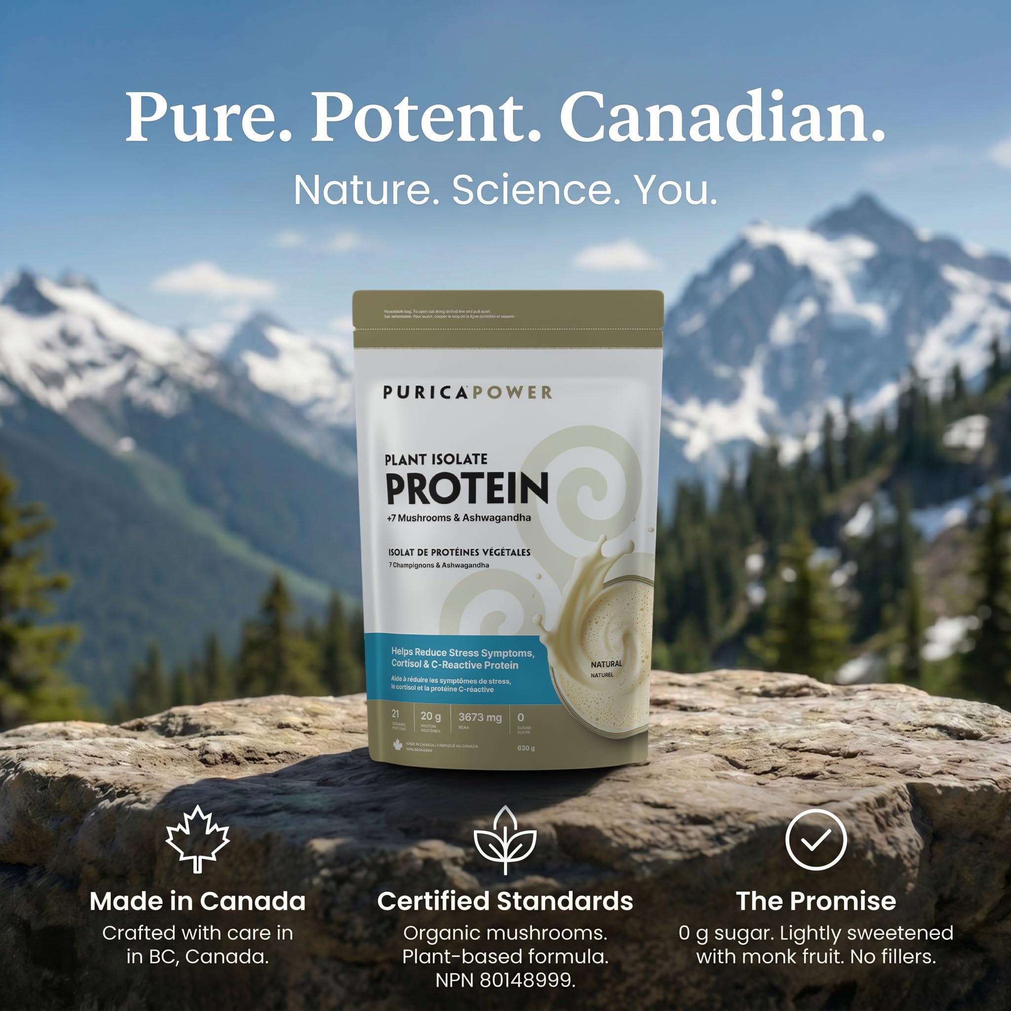 PURICA Plant Isolate Protein +7 Mushrooms & Ashwagandha Powder