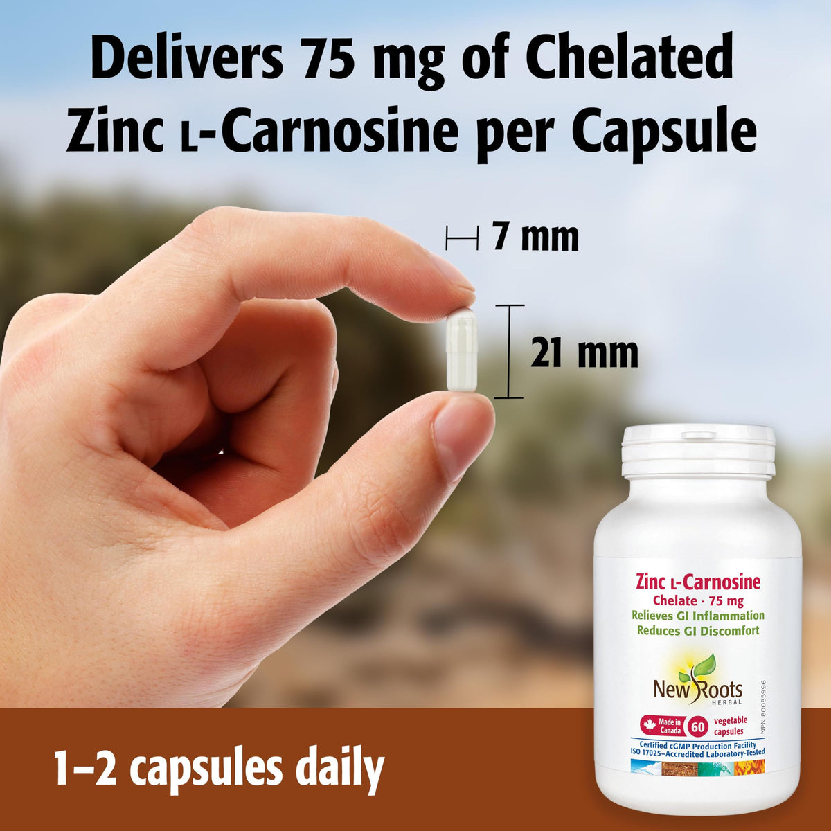 New Roots Herbal - Zinc ʟ-Carnosine Chelate 75 mg - 60 Veg Capsules