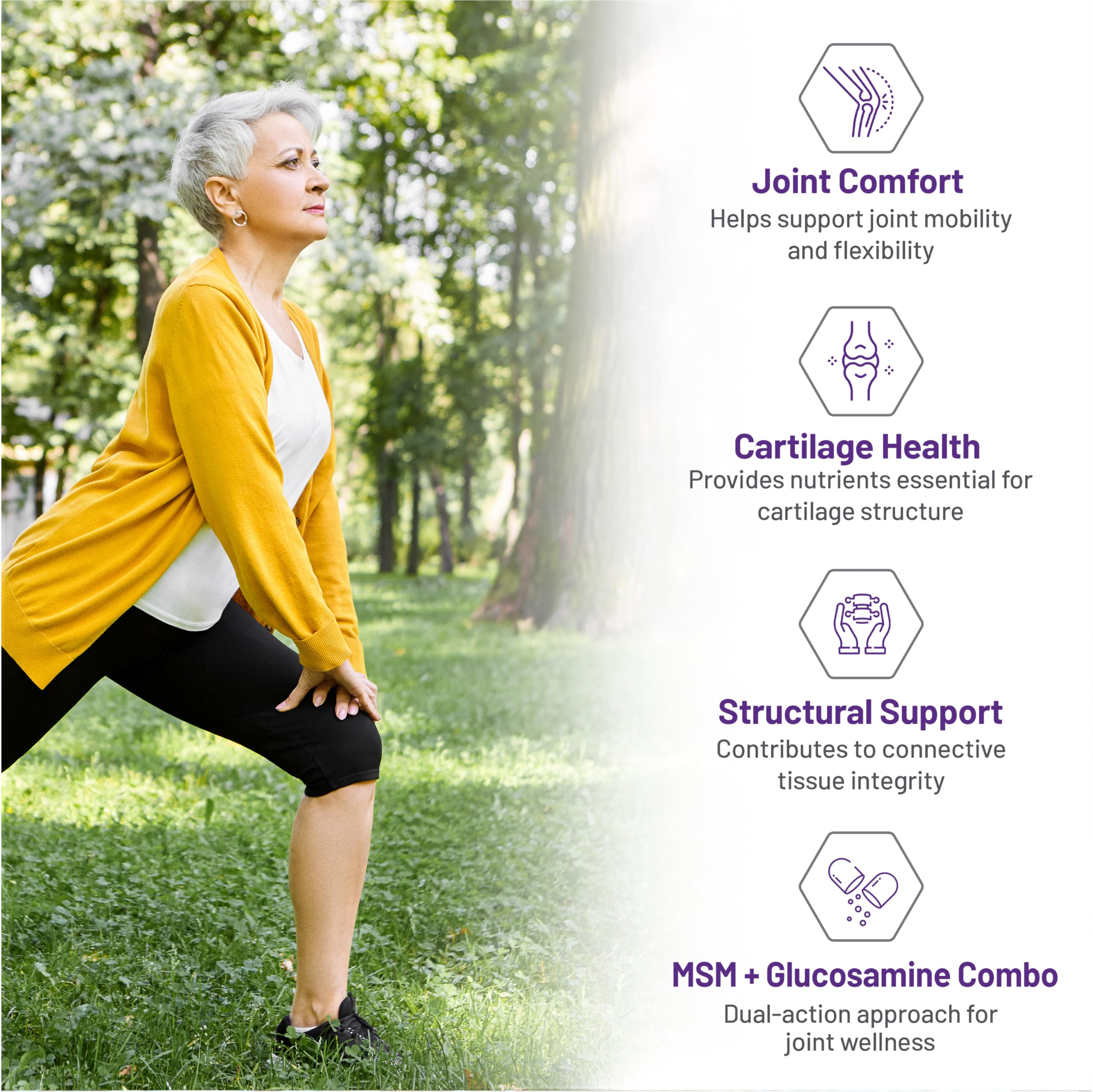 AOR MSM + Glucosamine