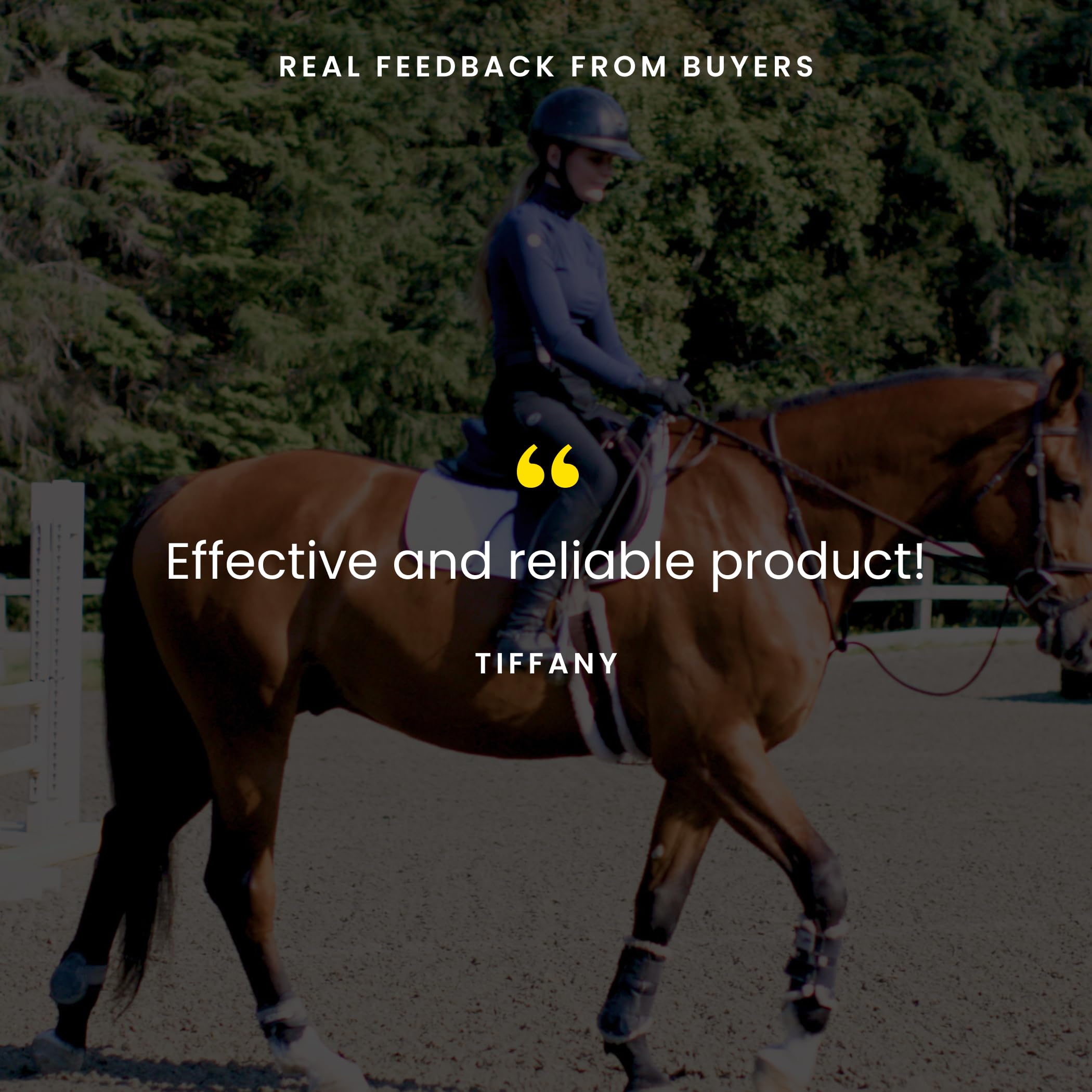 PURICA Equine Renewal Powder 1kg, Joint & Mobility Supplement for Horses with Glucosamine, MSM, Vitamin C, Magnesium, Support Flexibility, Cartilage & Connective Tissue, Non-GMO, Vegan, Made in Canada