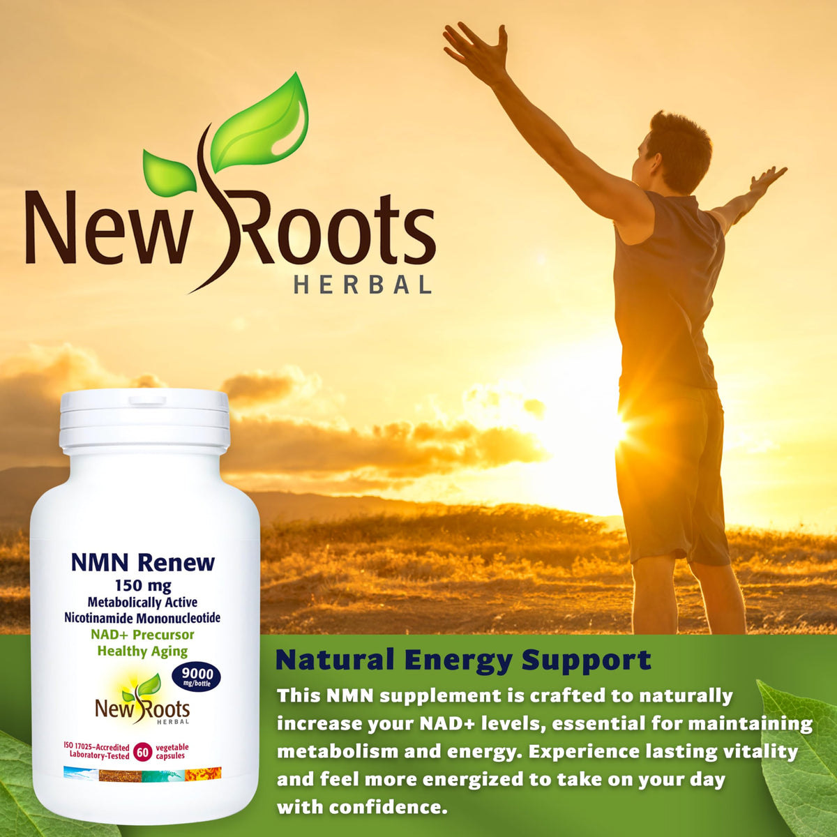 New Roots Herbal NMN Renew 150mg, 120 Capsules 60-Day Supply - NMN Supplement with Nicotinamide Mononucleotide - NAD+ Support for Vitality - Supports NAD+ Levels for Enhanced Energy and Youthfulness