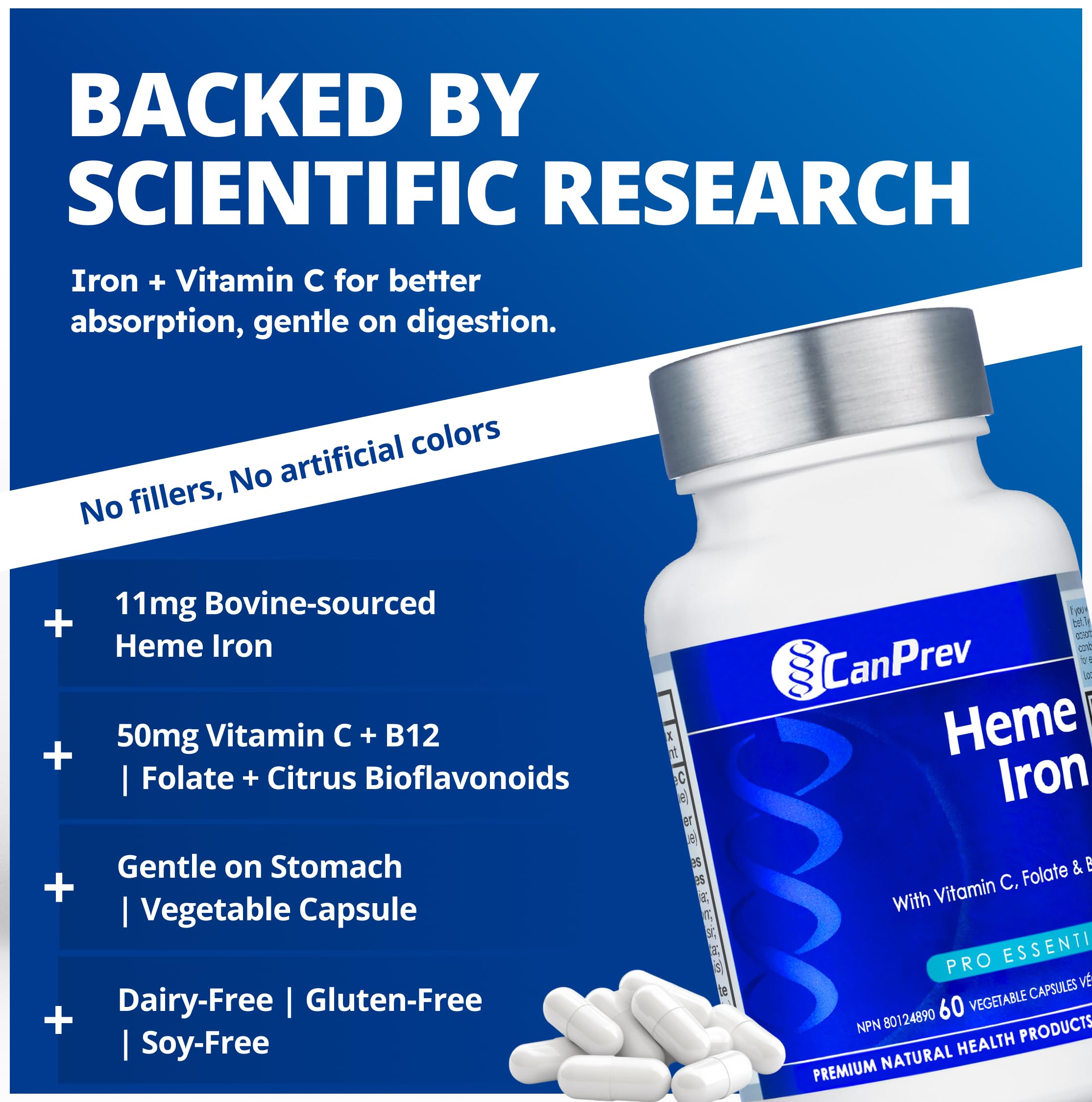 CanPrev Fer Heme 60 V-Caps, Approvisionnement de 60 jours avec Vitamine C, Folate et B12, Supplément de Fer Doux et Facilement Absorbable pour Femmes, Sans OGM, Sans Gluten ni Soja, Soutient la Formation des Globules Rouges, Fabriqué au Canada