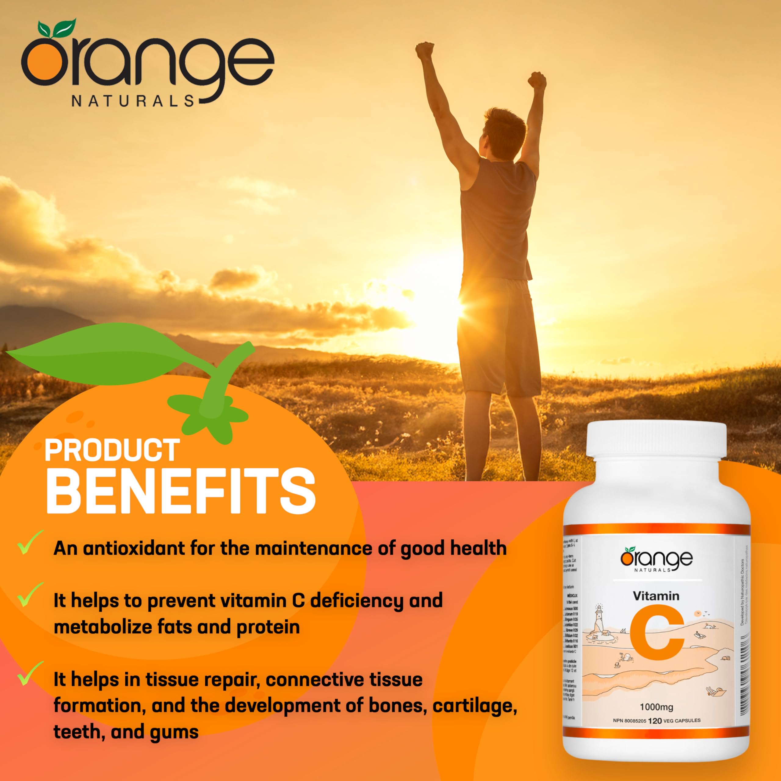 Orange Naturals Vitamine C 1000 mg, 120 V-Caps, Approvisionnement de 4 mois, Supplément d'acide ascorbique pur, Végétalien, Pratique au quotidien, Favorise le bien-être, Soutien antioxydant, Formation de collagène, Os et dents sains