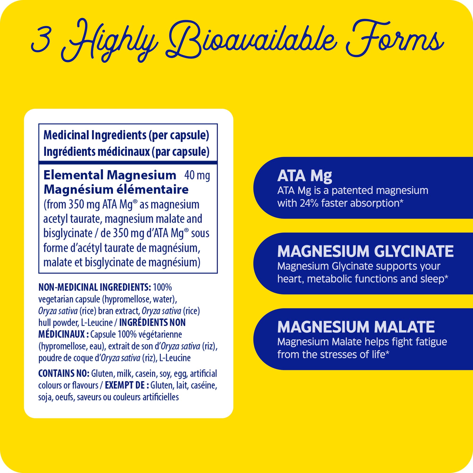 Enzymedica Magnesium Motion, 60 Vegan Caps, 30-Day Supply, Enhanced Magnesium Glycinate, Malate & ATA Mg, Promotes Relaxation, Supports Muscle, Bone & Heart Function, Dairy & Soy Free, Easy Absorption