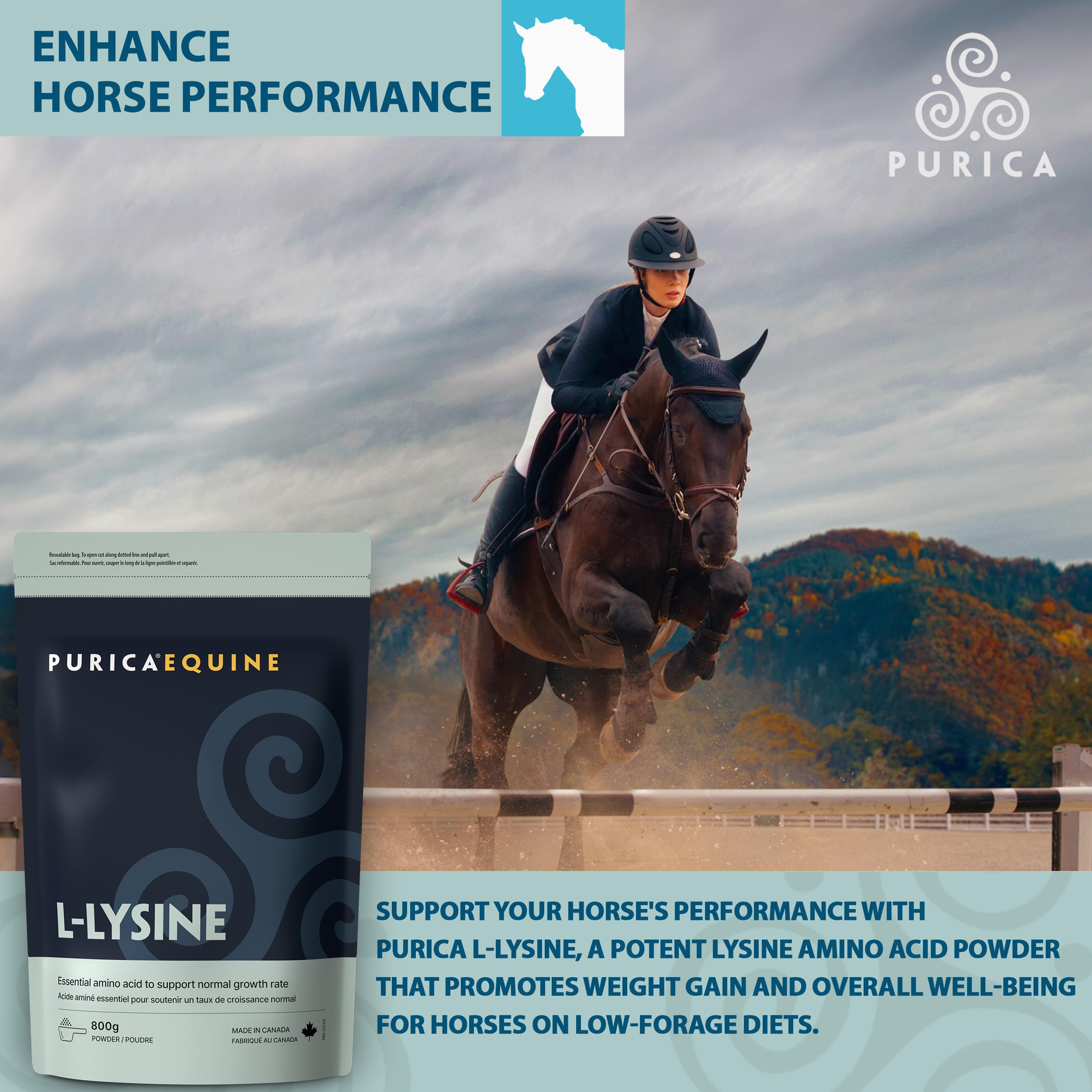 PURICA - L-Lysine en poudre 800g - Acide aminé lysine - Lysine pour chevaux - Complément pour la santé équine - Suppléments de lysine - Poudre de lysine végane pour chevaux - Acide aminé essentiel L-Lysine