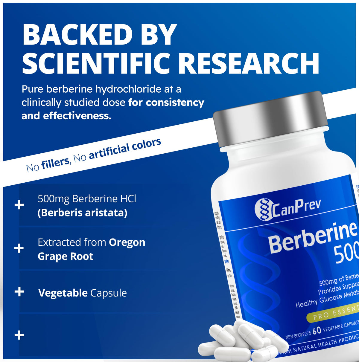 CanPrev Berberine 500mg Capsules, Glucose Metabolism, Vegan, 30 Day Supply