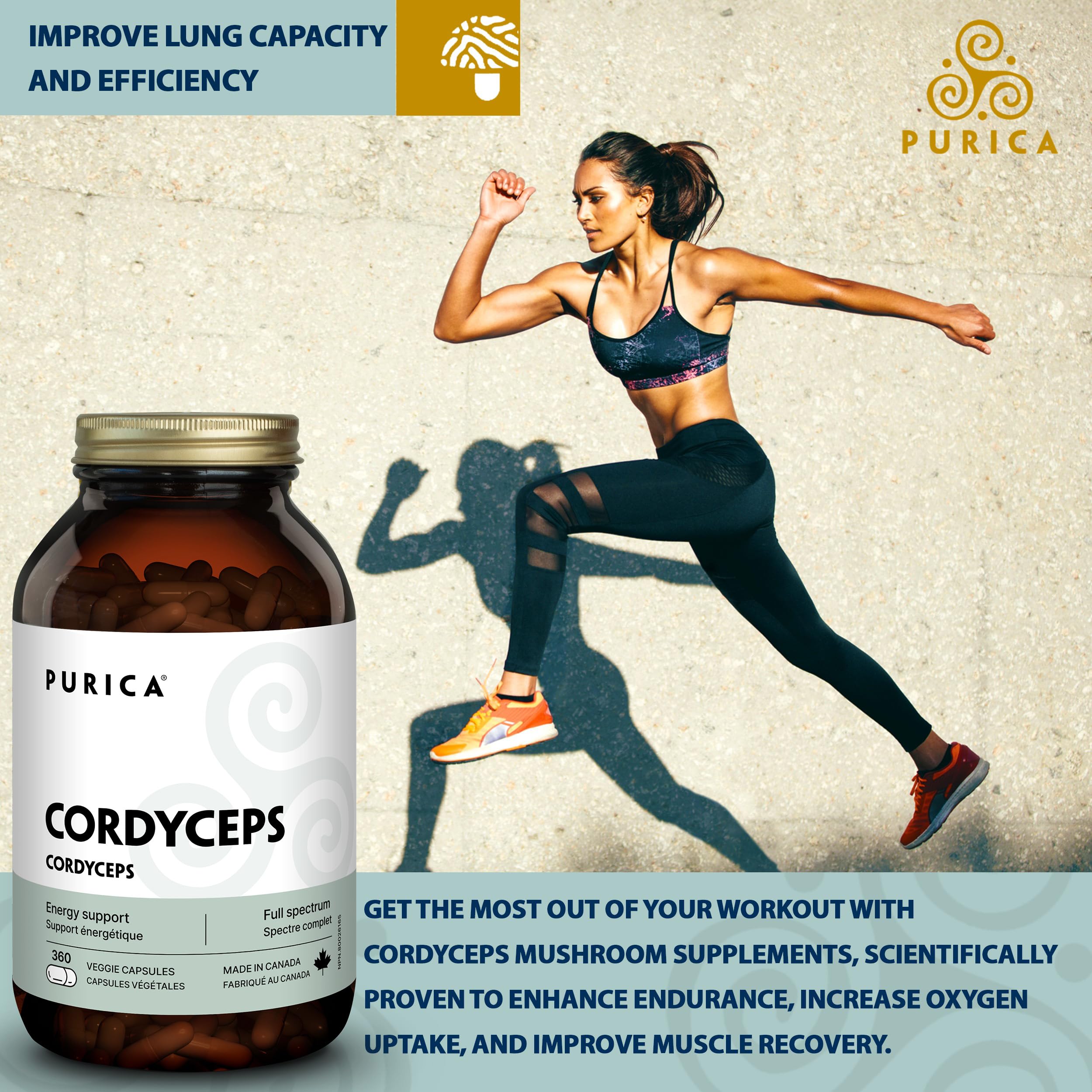 PURICA Cordyceps Champignons micronisés