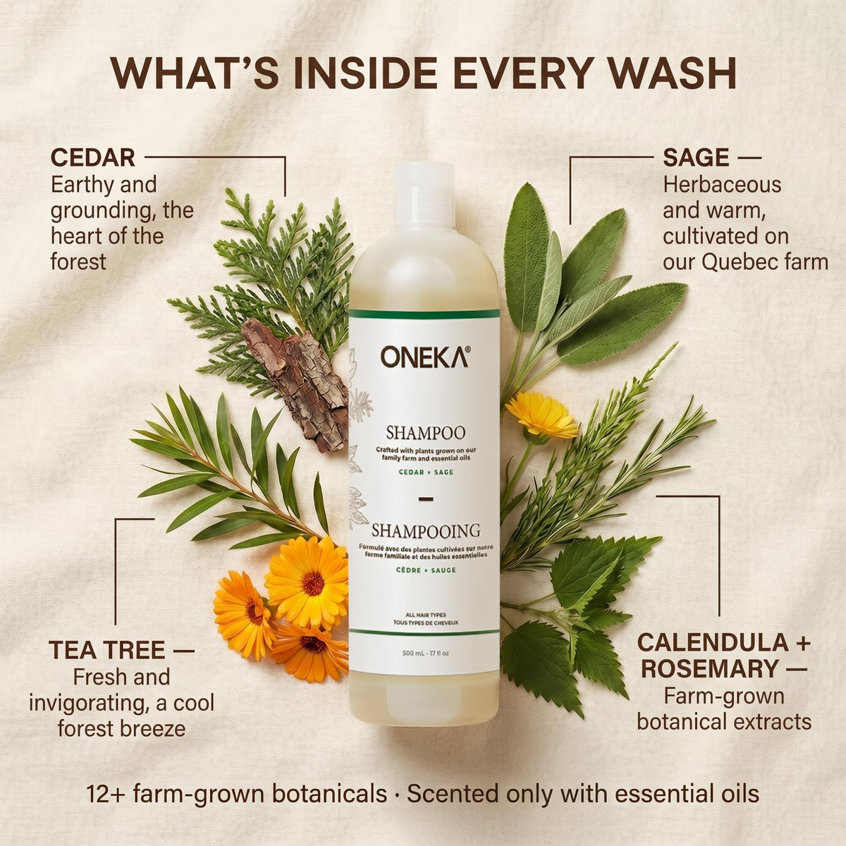 ONEKA Shampoo, 500 ML