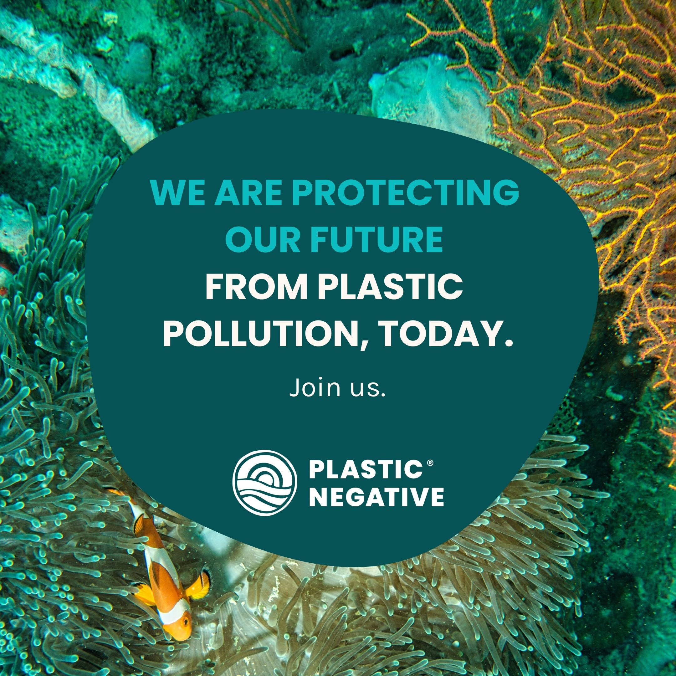 Summit Supplements Shilajit 250mg, 120 Veggie Capsules, 60-Day Supply, Purified with 50% Fulvic Acid, Supports Energy, Endurance & Nutrient Absorption