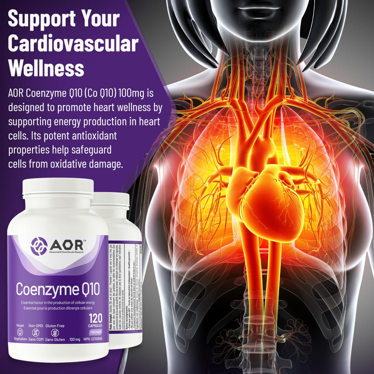 AOR CoQ10 Supplement, Coenzyme Q10 100mg, No Fillers, Vegan, 120 Capsules