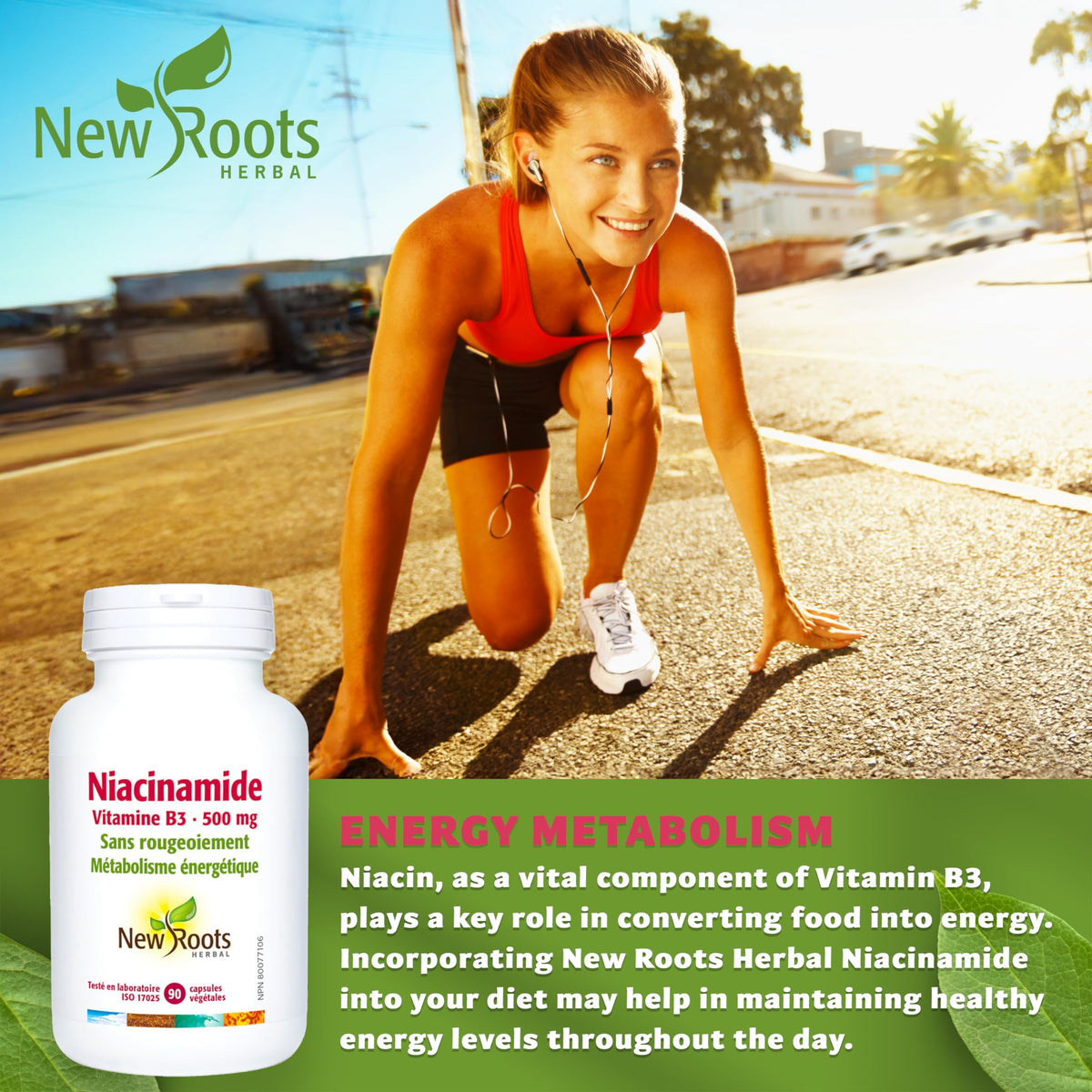 New Roots Herbal Niacinamide 500 mg, Niacin, Vitamin B3, 90 Veg Capsules