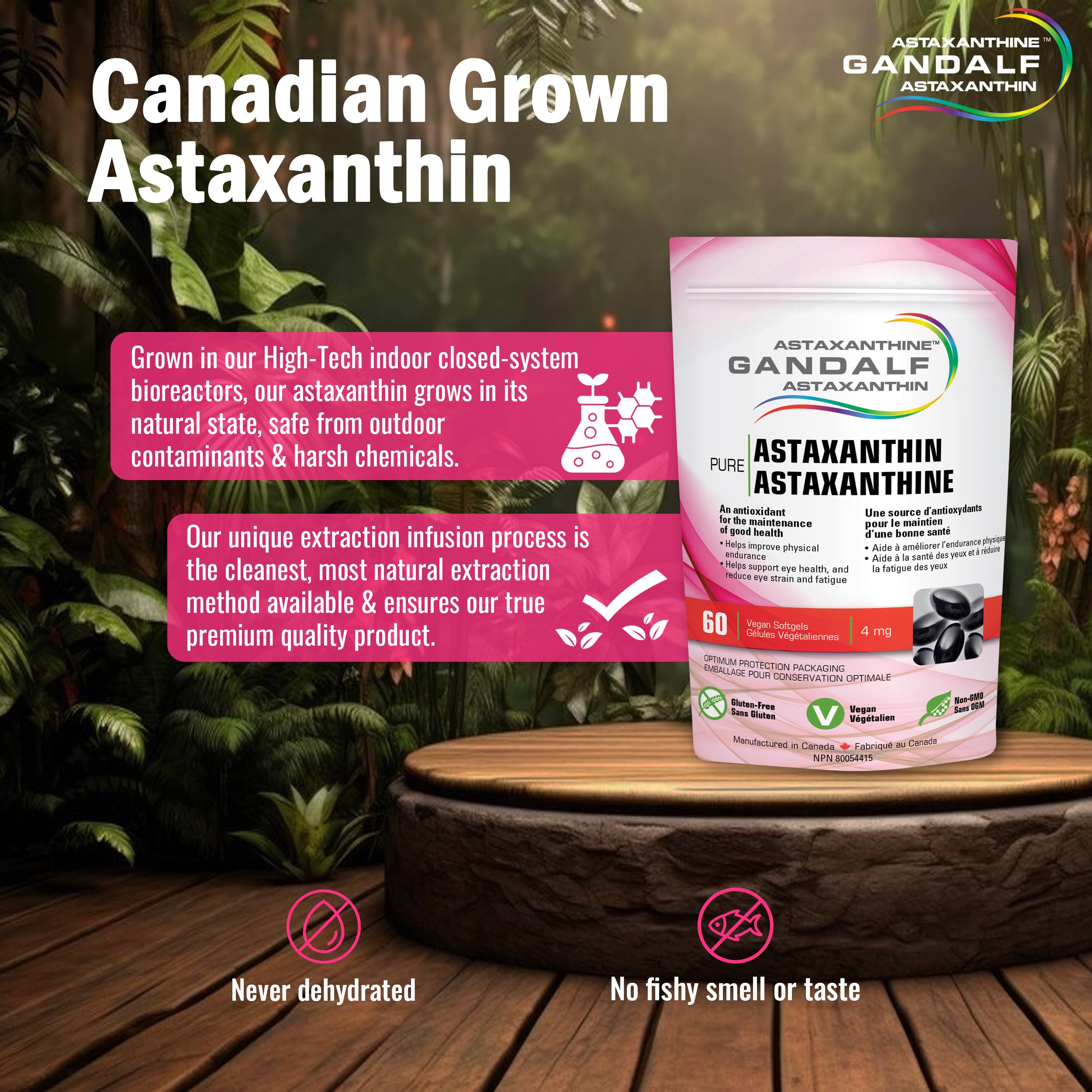 Gandalf Astaxanthine 4 mg, 60 gélules végétaliennes, cure de 30 jours – Complément pour la vision et le bien-être des articulations, favorise le confort oculaire et la souplesse, formule antioxydante, cultivé et fabriqué au Canada, sans OGM
