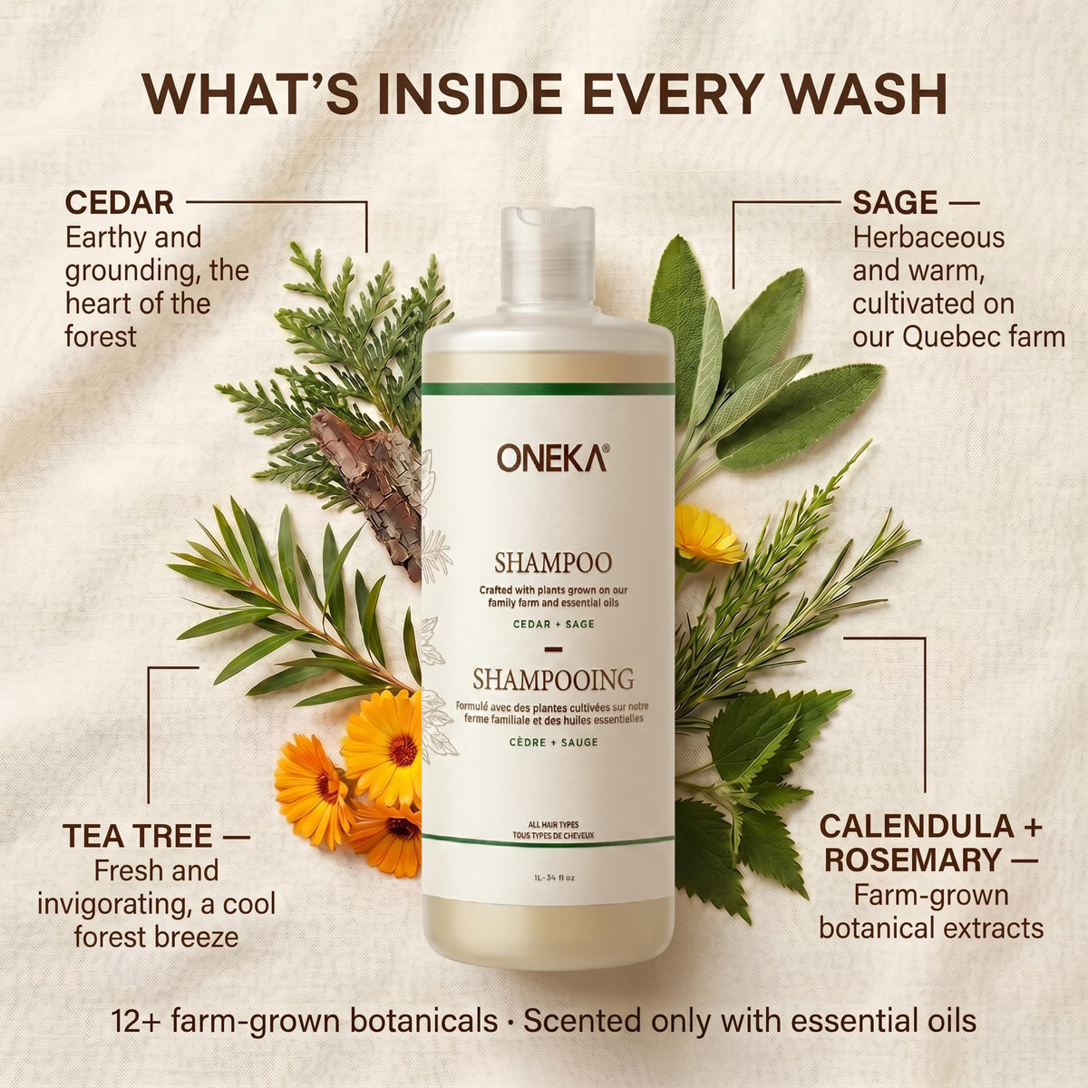 ONEKA Shampoo, 500 ML