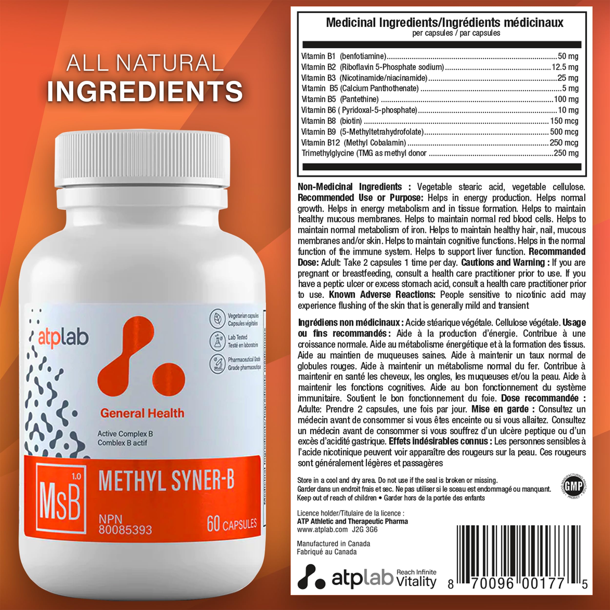 ATP LAB - Methyl Syner-B Complexe de Vitamines B 60 Capsules 30 Jours d'Approvisionnement - Vitamines B Méthylées - Suppléments Cérébraux pour la Mémoire et la Concentration - Vitamine B Méthylée