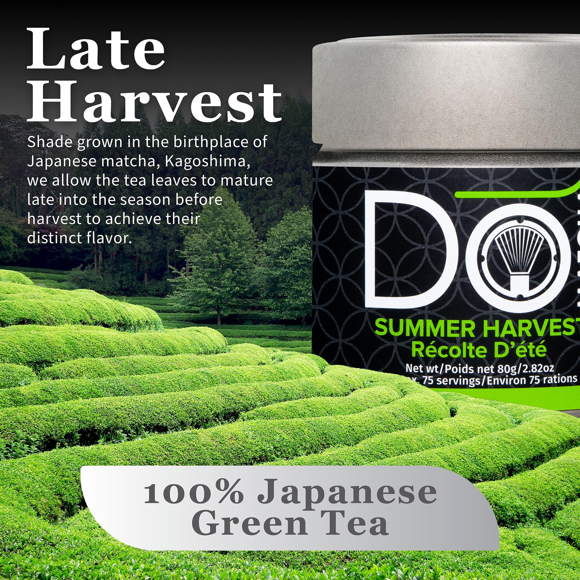 DoMatcha Récolte d'été - Poudre de thé vert matcha japonais pour smoothies, lattes, pâtisseries et créations culinaires - Riche en antioxydants, couleur verte éclatante, certifié casher