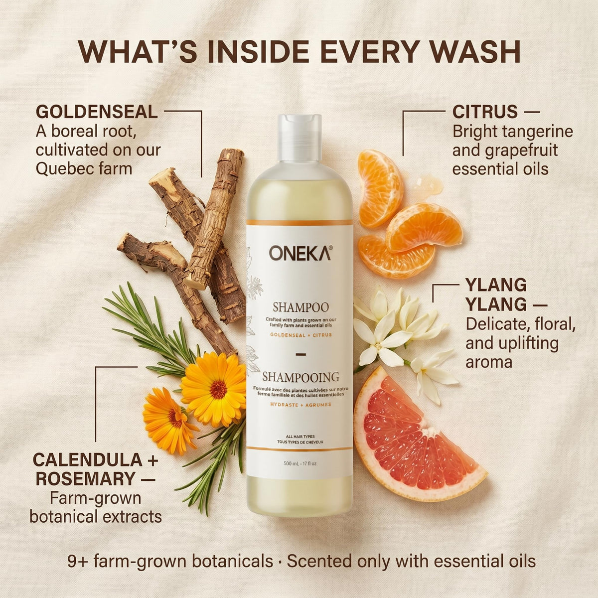 ONEKA Shampoo, 500 ML