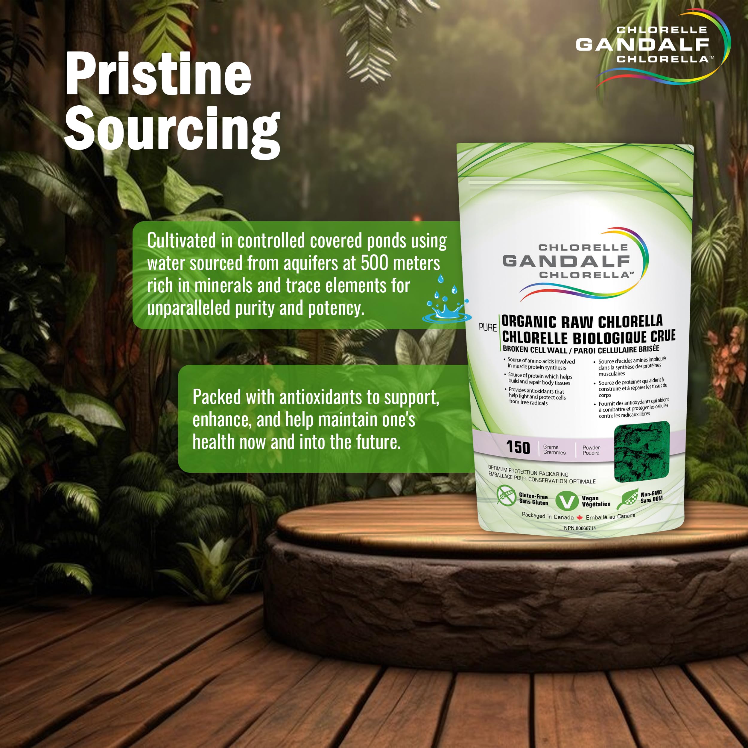 Gandalf Organic Raw Chlorella Powder Broken Cell Wall, 150g, 50-Servings, Vegan, Packed with Chlorophyll & Trace Elements, Promotes Vitality, Focus & Digestive Wellness