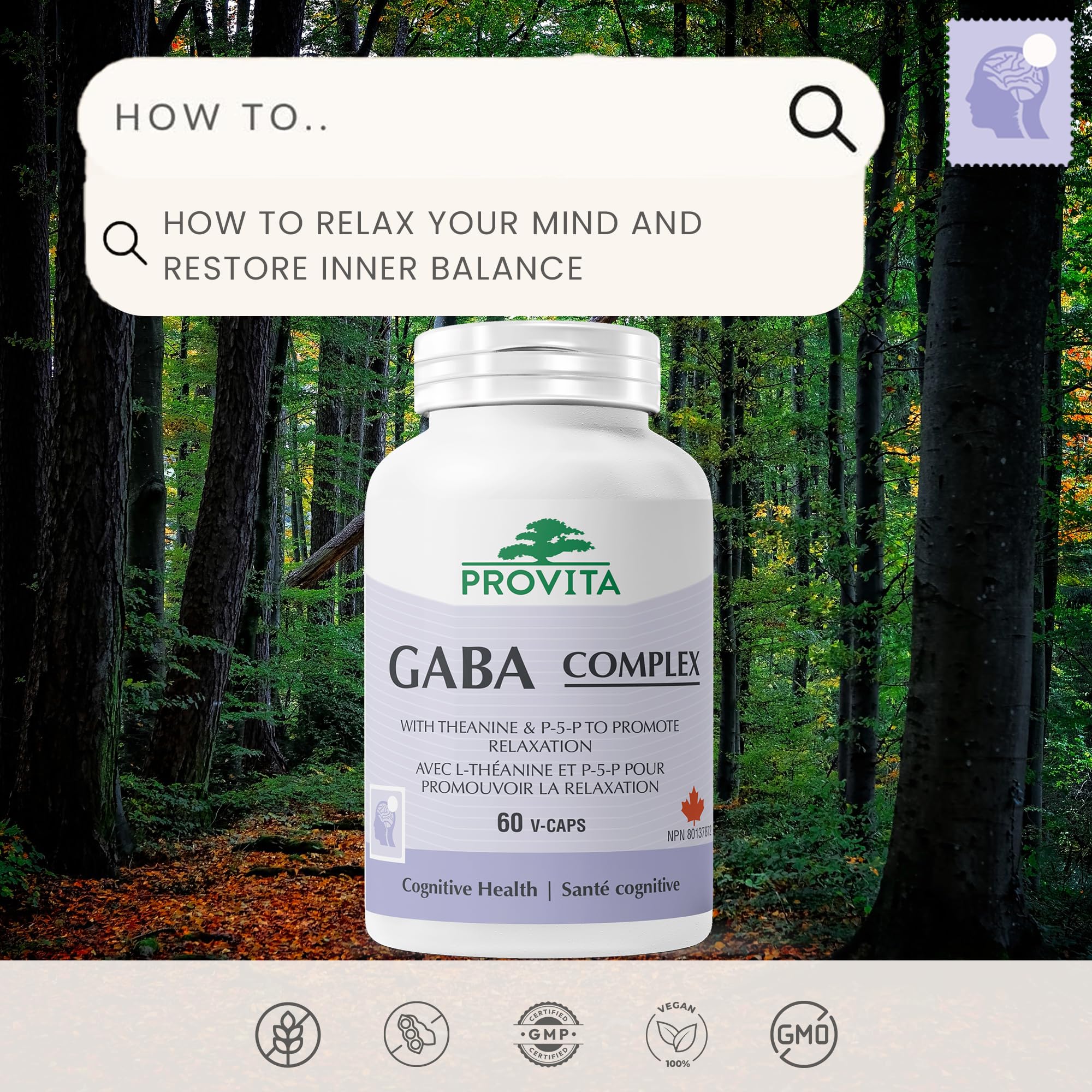 Provita GABA 500mg avec L-Théanine et Vitamine B6 (P-5-P) | Soutien Naturel au Sommeil et Aide à la Relaxation | Végétalien, Sans OGM | Supplément de Soutien au Stress pour Adultes | NPN 80137872