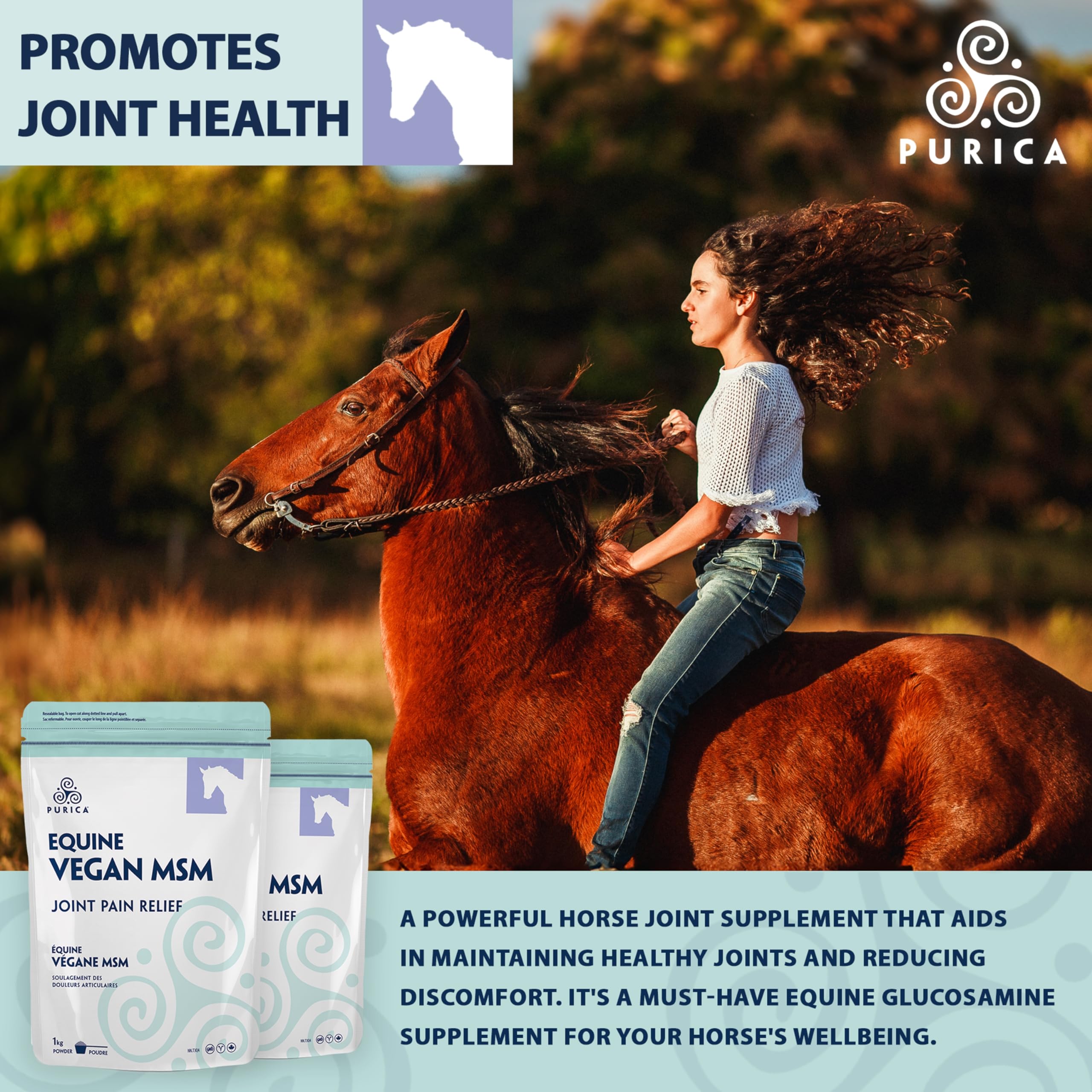 PURICA Équin MSM Végétalien en Poudre - Supplément Pur & Organique pour Chevaux pour le Soutien Articulaire, 1kg