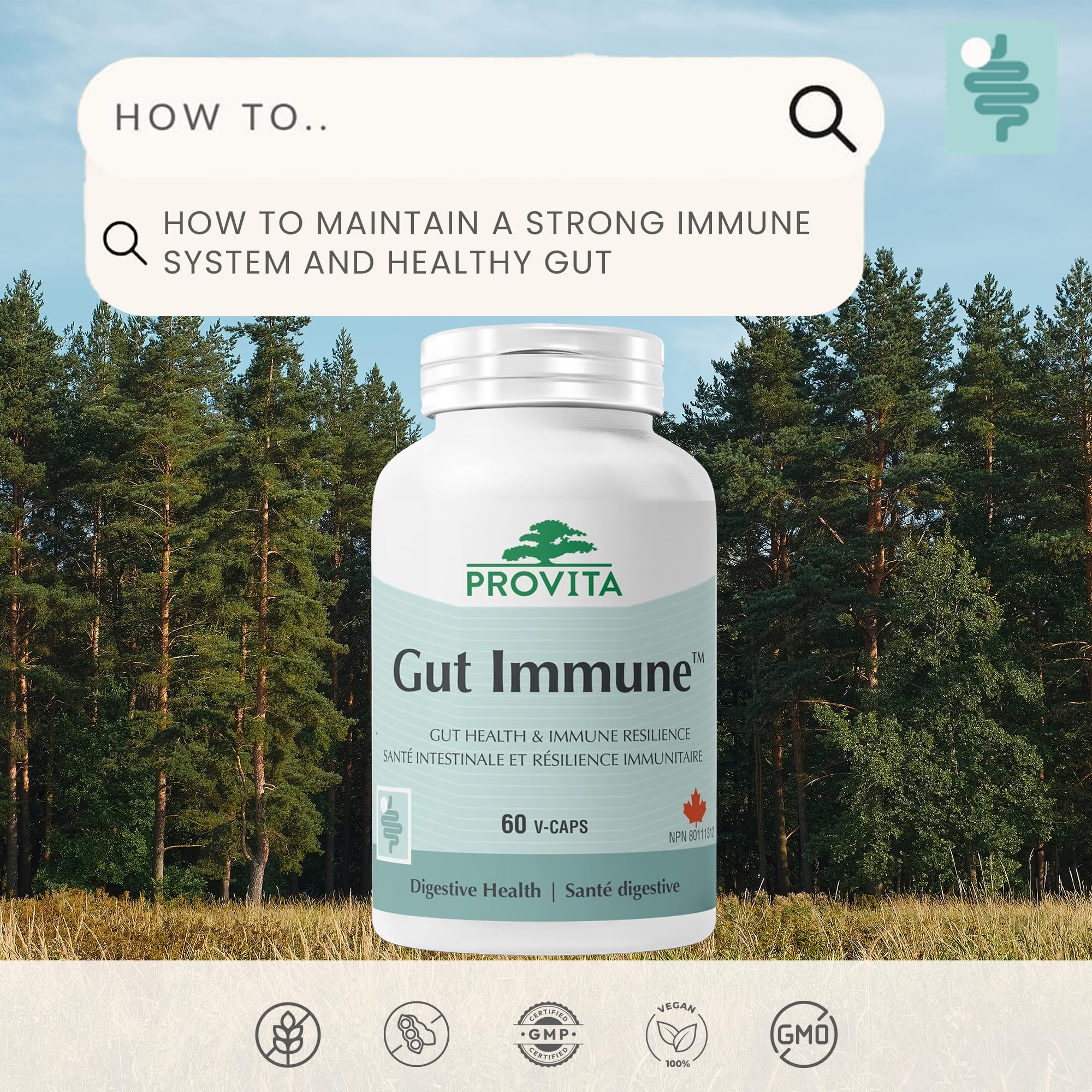 Provita Gut Immune | Leaky Gut Repair Supplement with L. fermentum, Haritaki, L-Glutamine, Zinc & Copper | Gut Lining & Immune Support | 60 Vegan Capsules