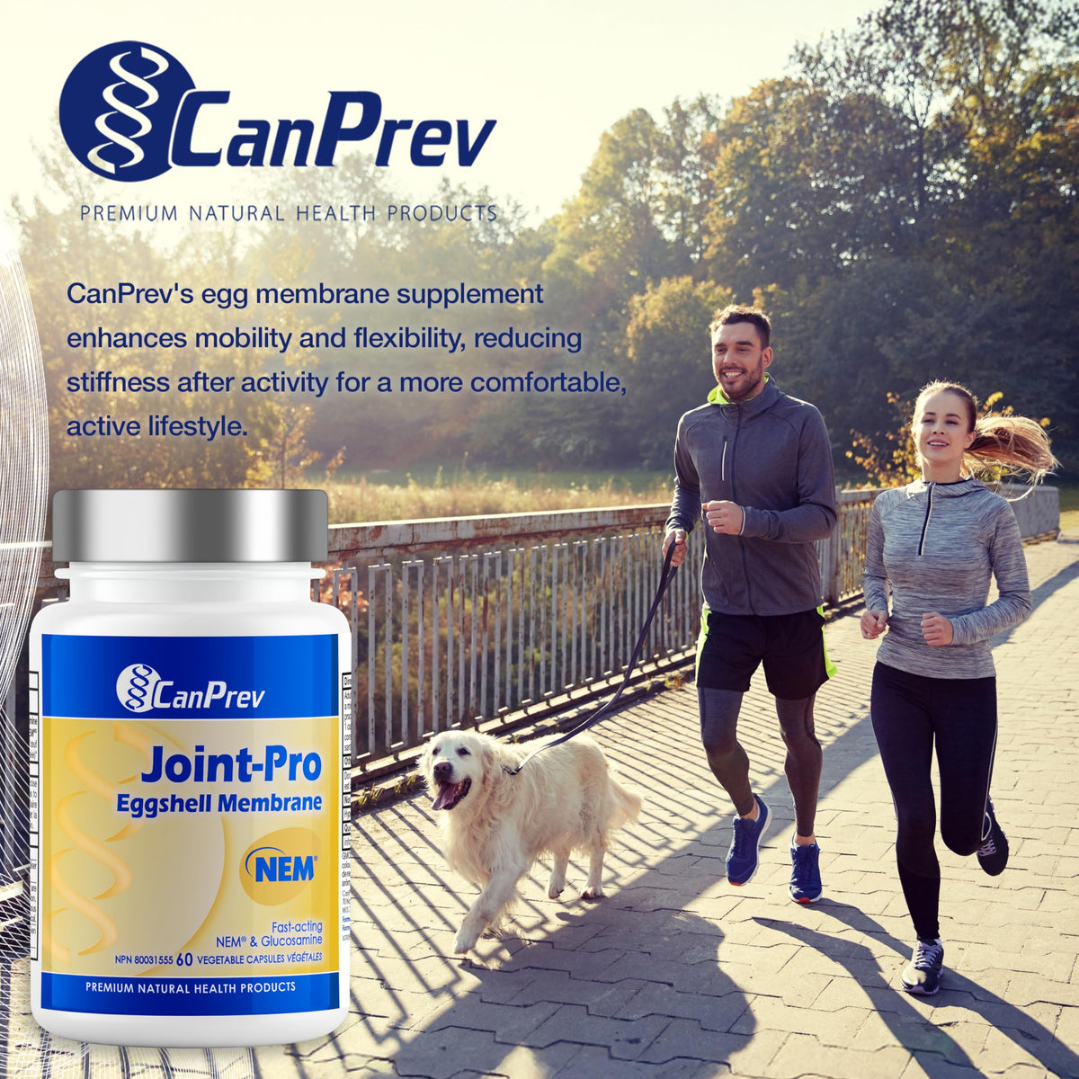 CanPrev Joint Pro NEM, Joint Supplement, Cartilage Support, 60 Capsules