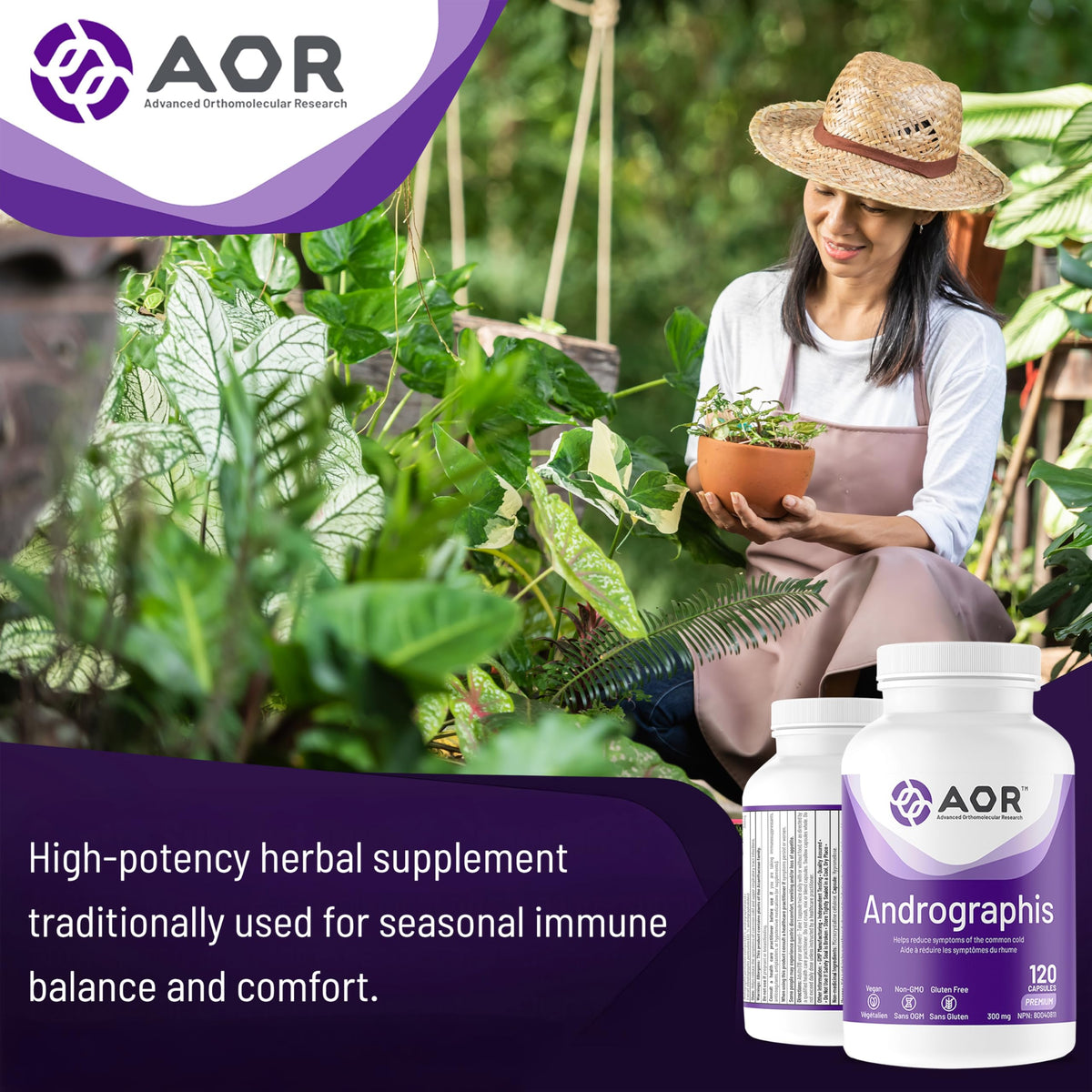 AOR Andrographis Capsules, Immune Support Supplement, 120 Capsules