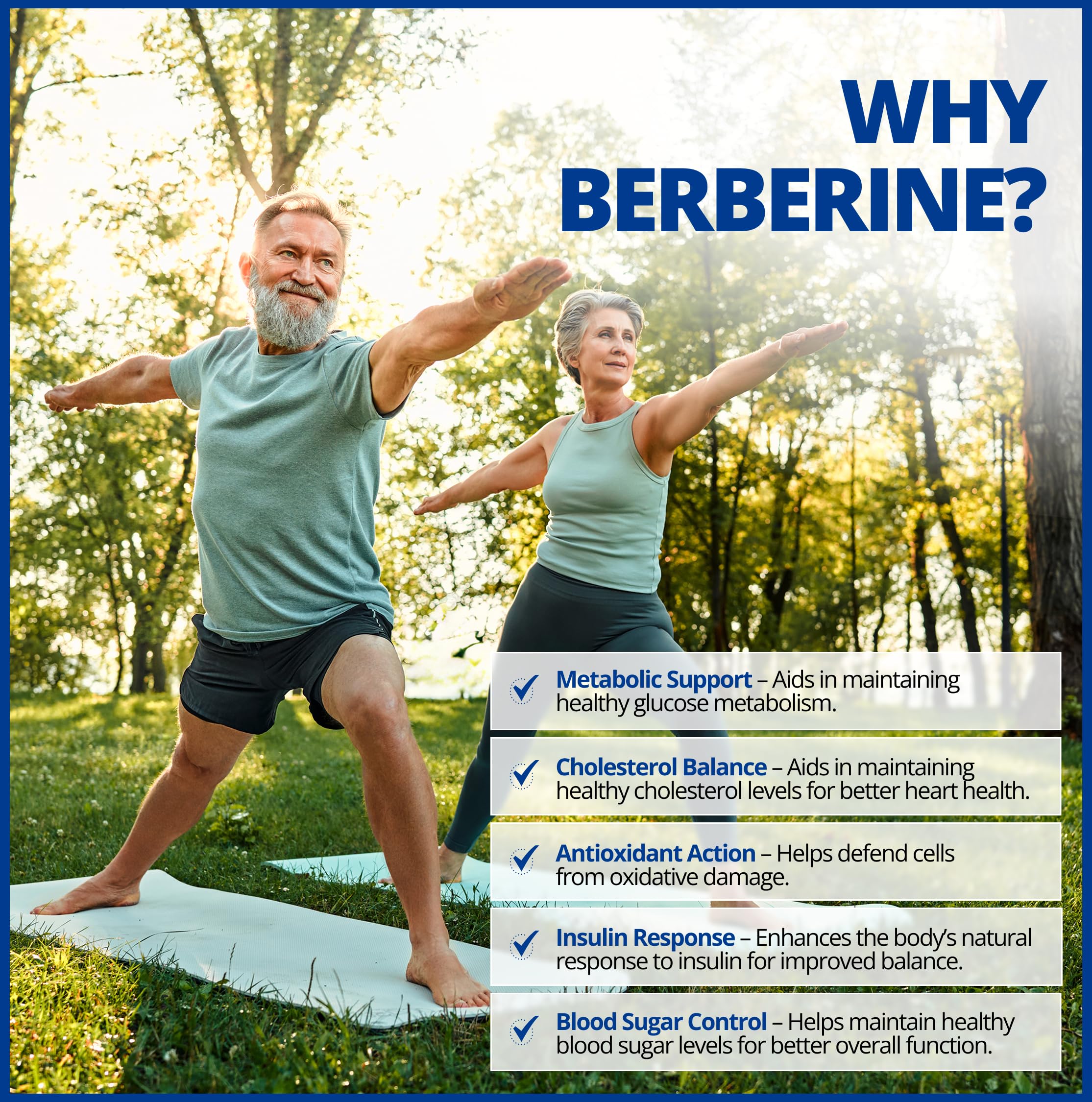 CanPrev - Berbérine 500mg, 60 gélules végétaliennes, Cure de 30 jours - Favorise un Métabolisme du Glucose Sain - Contribue au Maintien de Niveaux de Cholestérol et de Lipides Sanguins Sains - Source d'Antioxydants