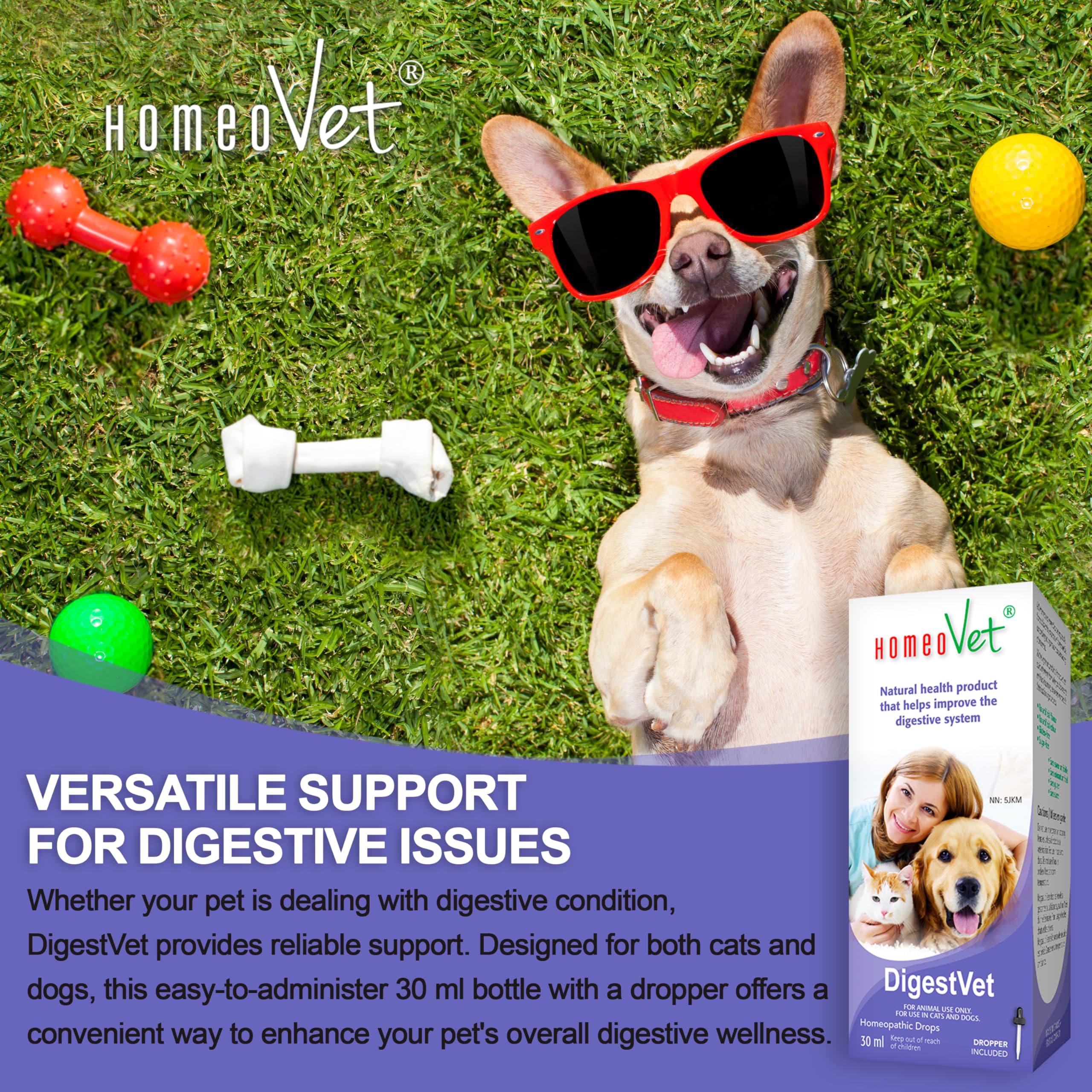 HomeoVet DigestVet Formule enzymatique digestive avancée pour chats et chiens, 30 ml - Aide digestive homéopathique - Soutient les estomacs sensibles et l'absorption optimale des nutriments - Supplément pour la santé digestive des animaux de compagnie