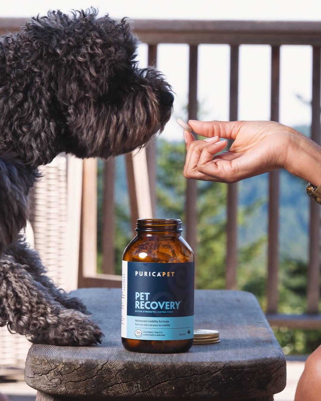 Curious Buy Nature / Curieux de nature